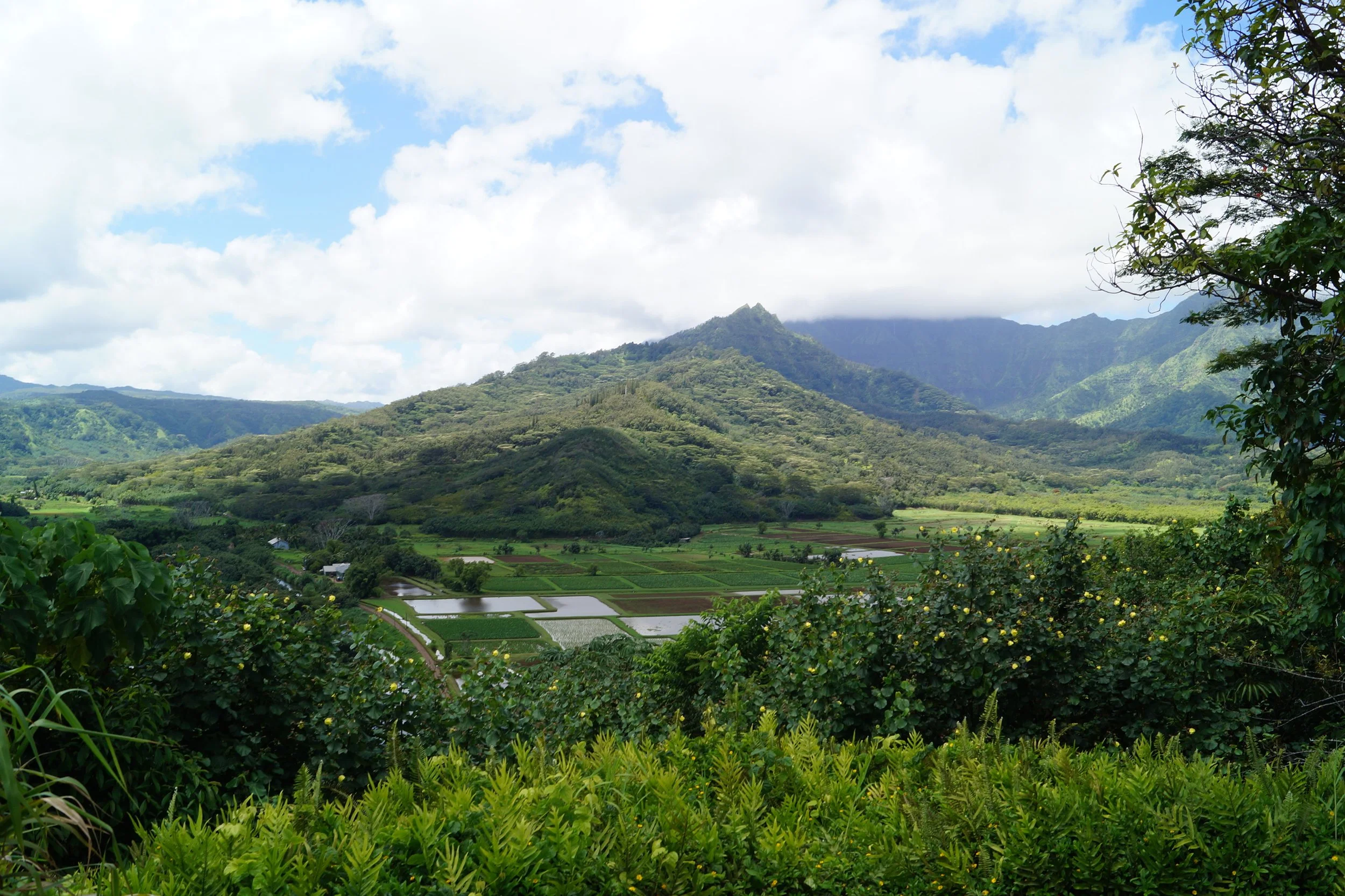 Hanalei Valley Lookout