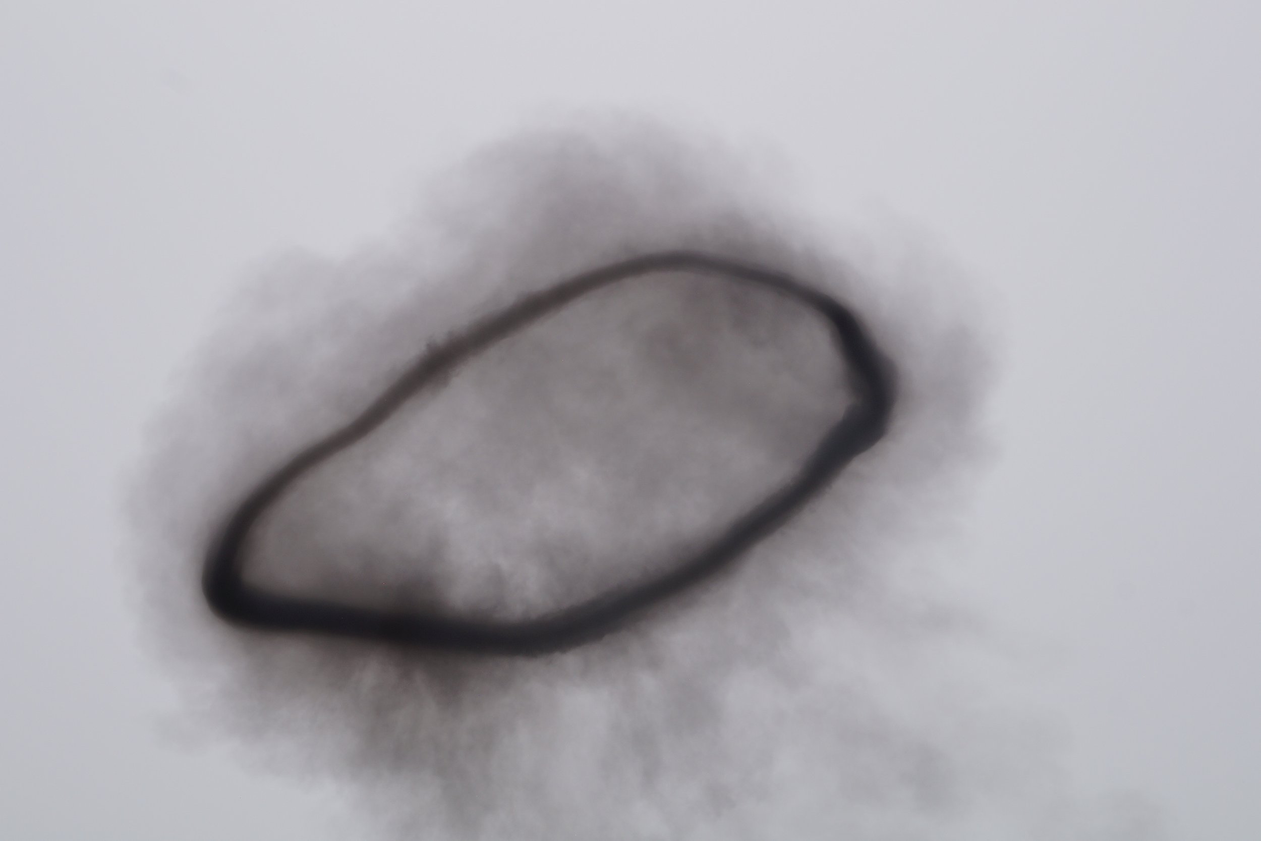 Smoke Ring after pyrotechnic display