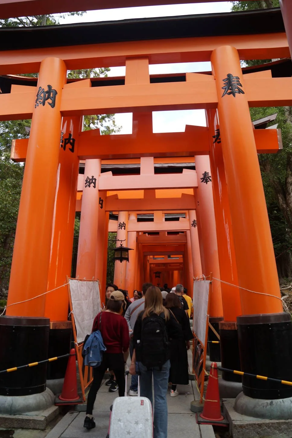 Kyoto - Torii gates at Fushimi Inari Shrine