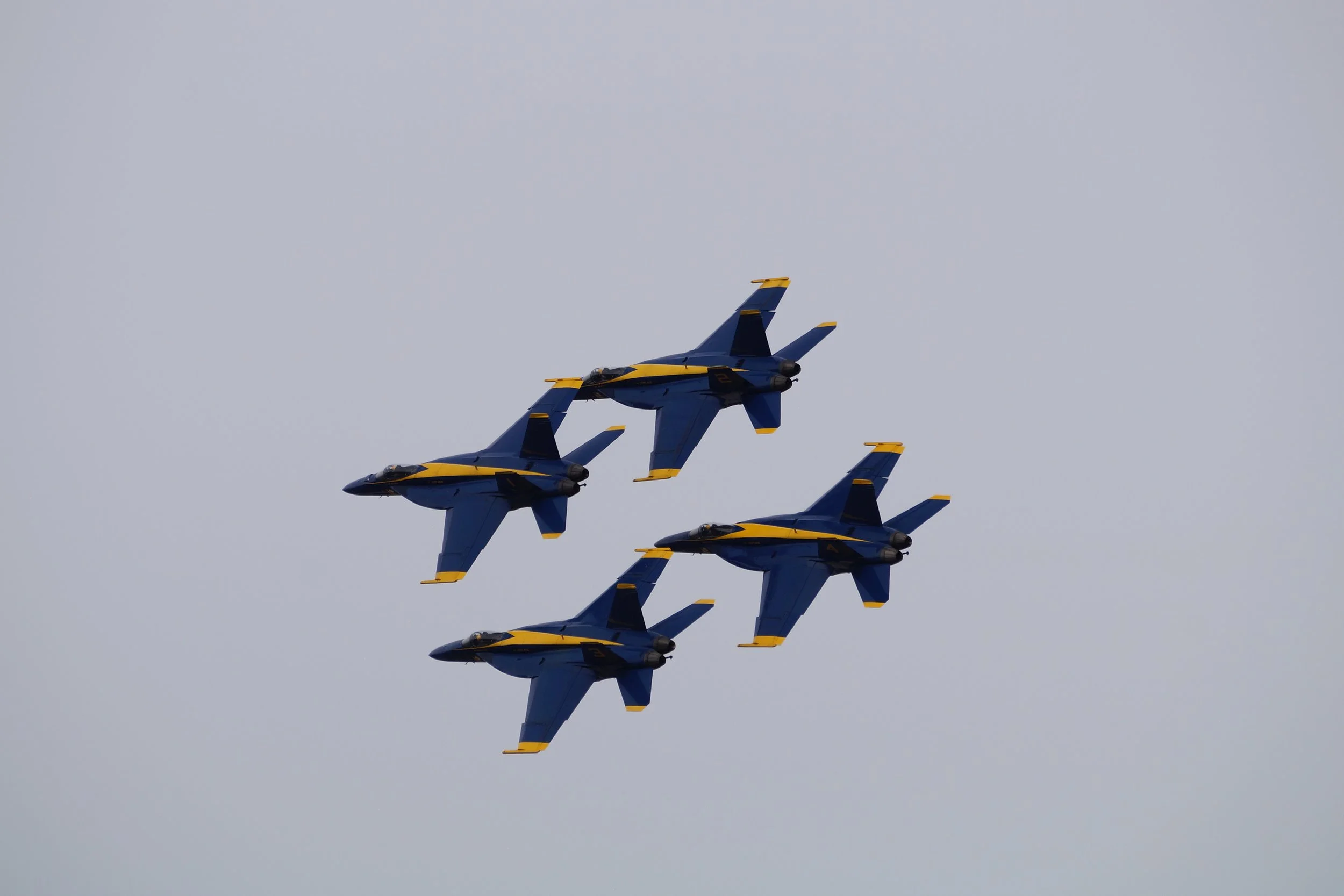 Blue Angels F/A 18 Super Hornet