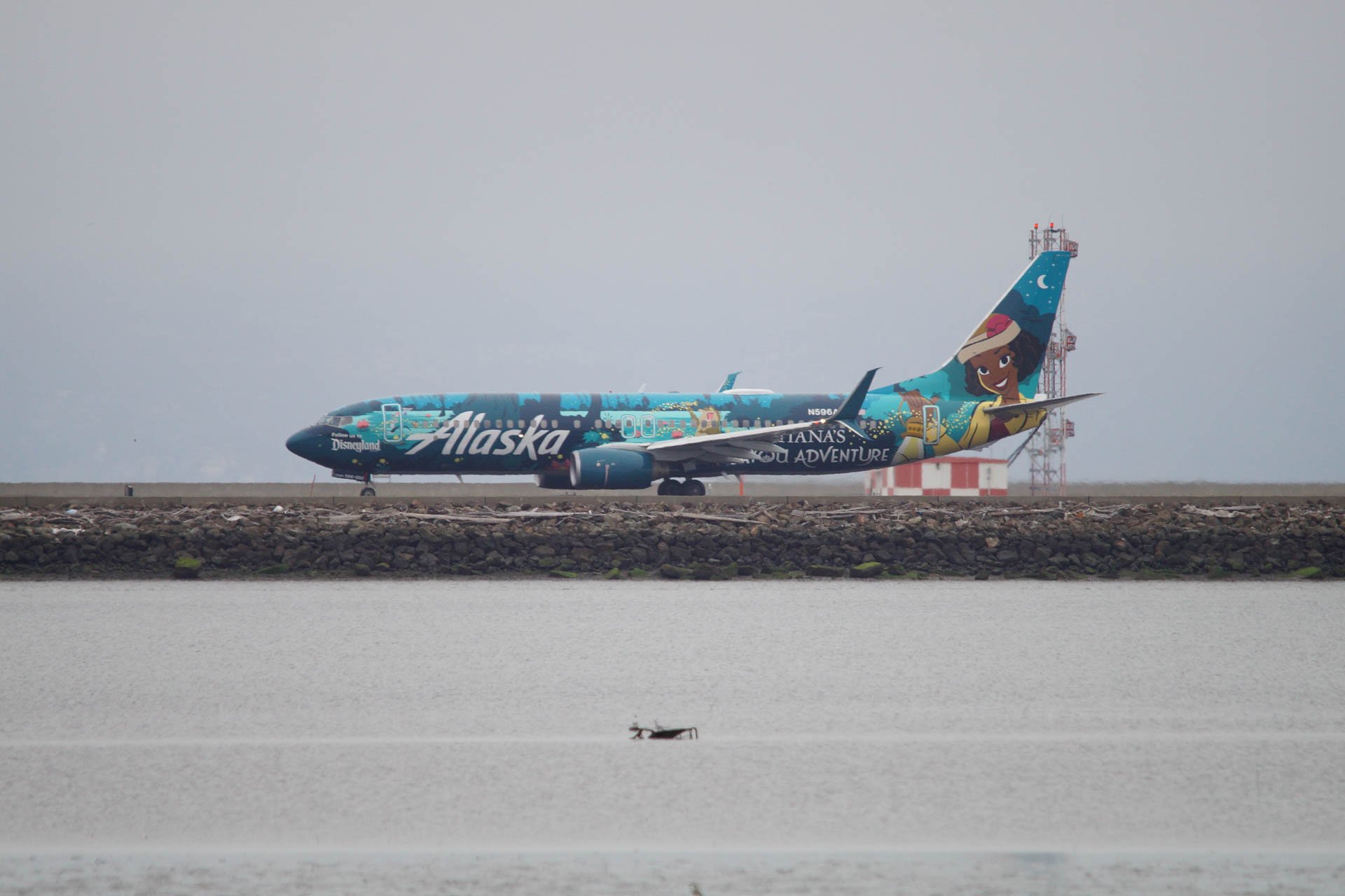 Alaska Airlines_N596AS_Boeing 737-800_Tiana’s Bayou Adventure