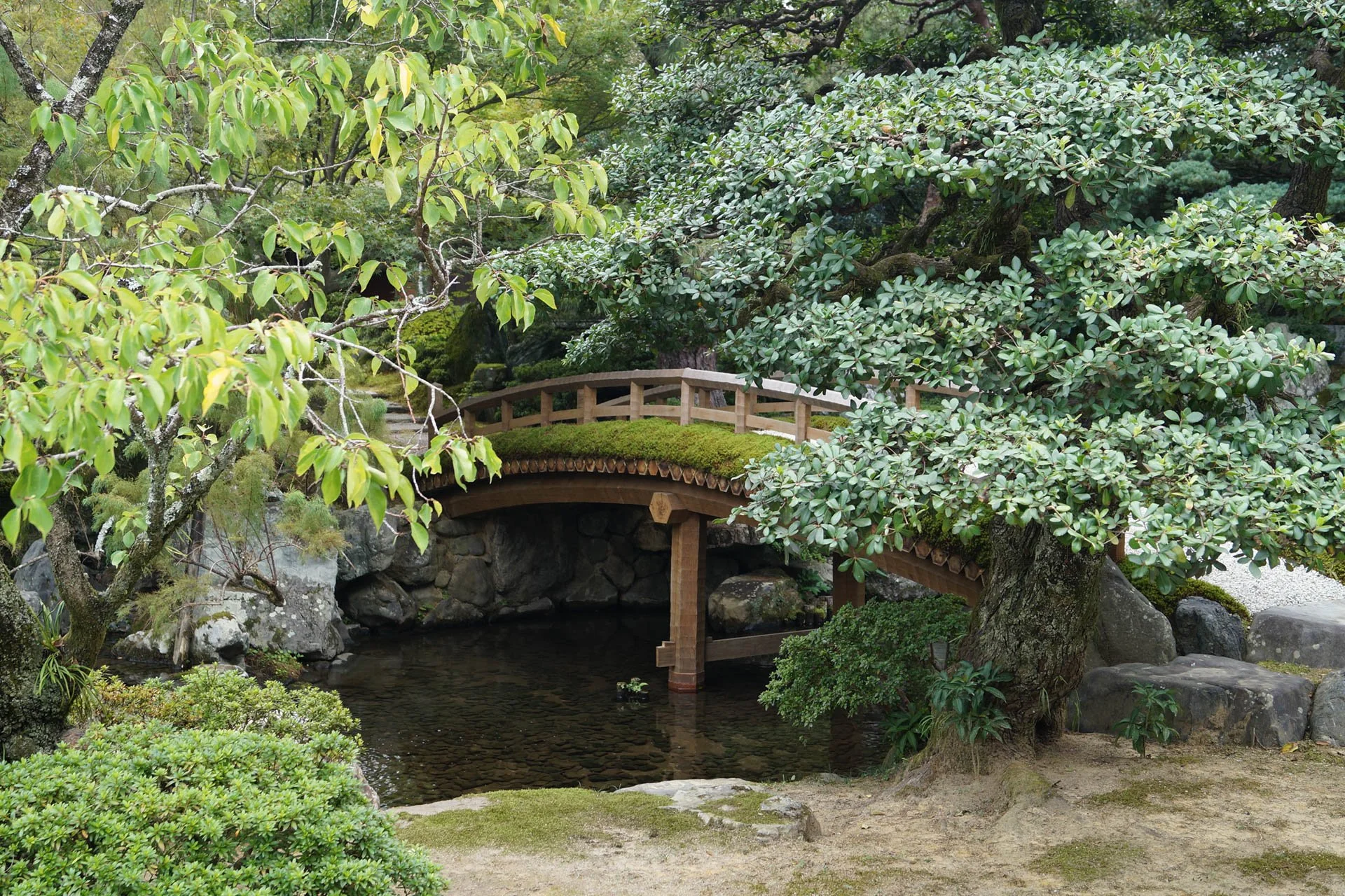 Kyoto - Oikeniwa Garden at Kyoto Imperial Palace