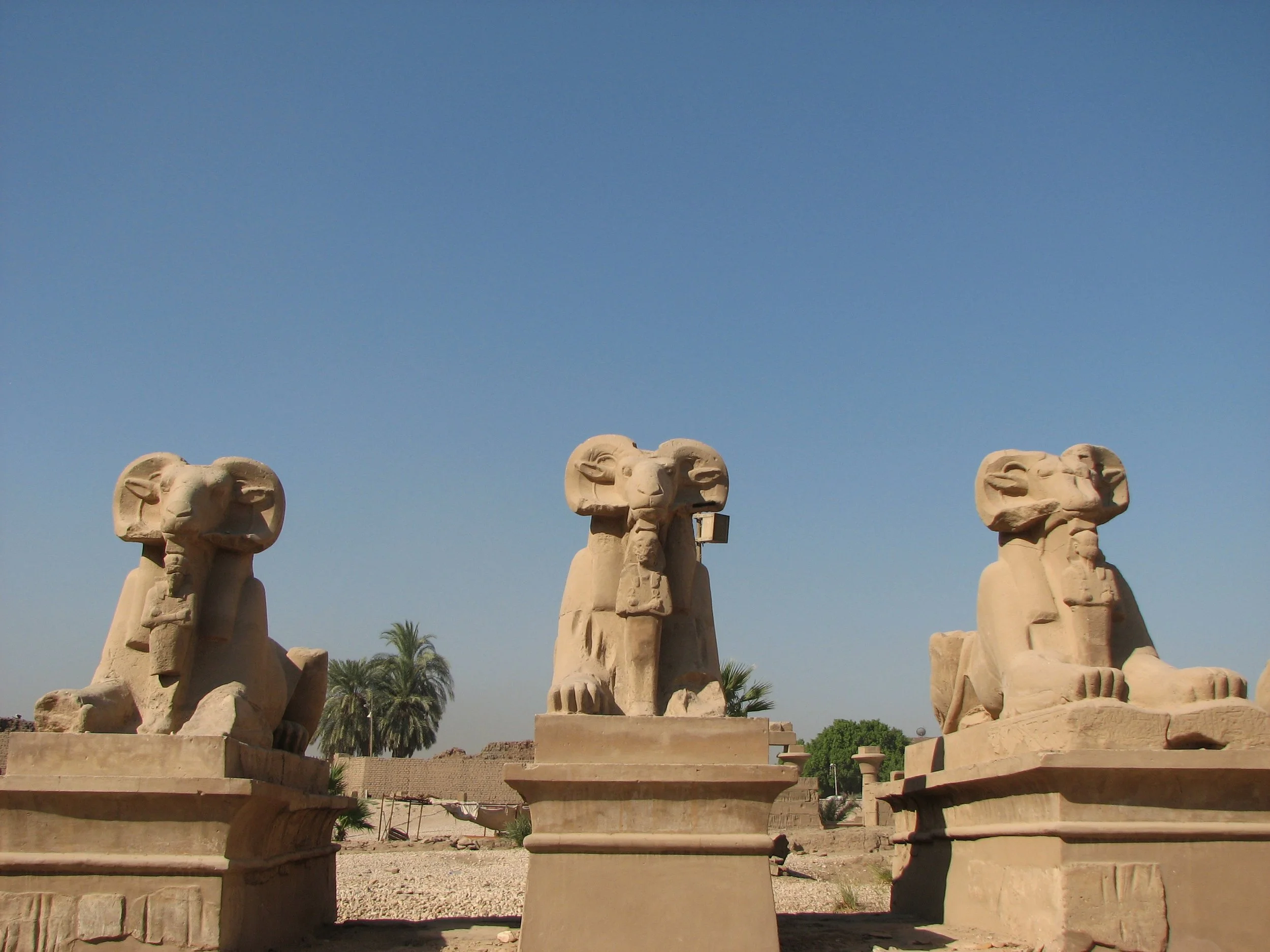 Egypt (Part 2): June to July 2008