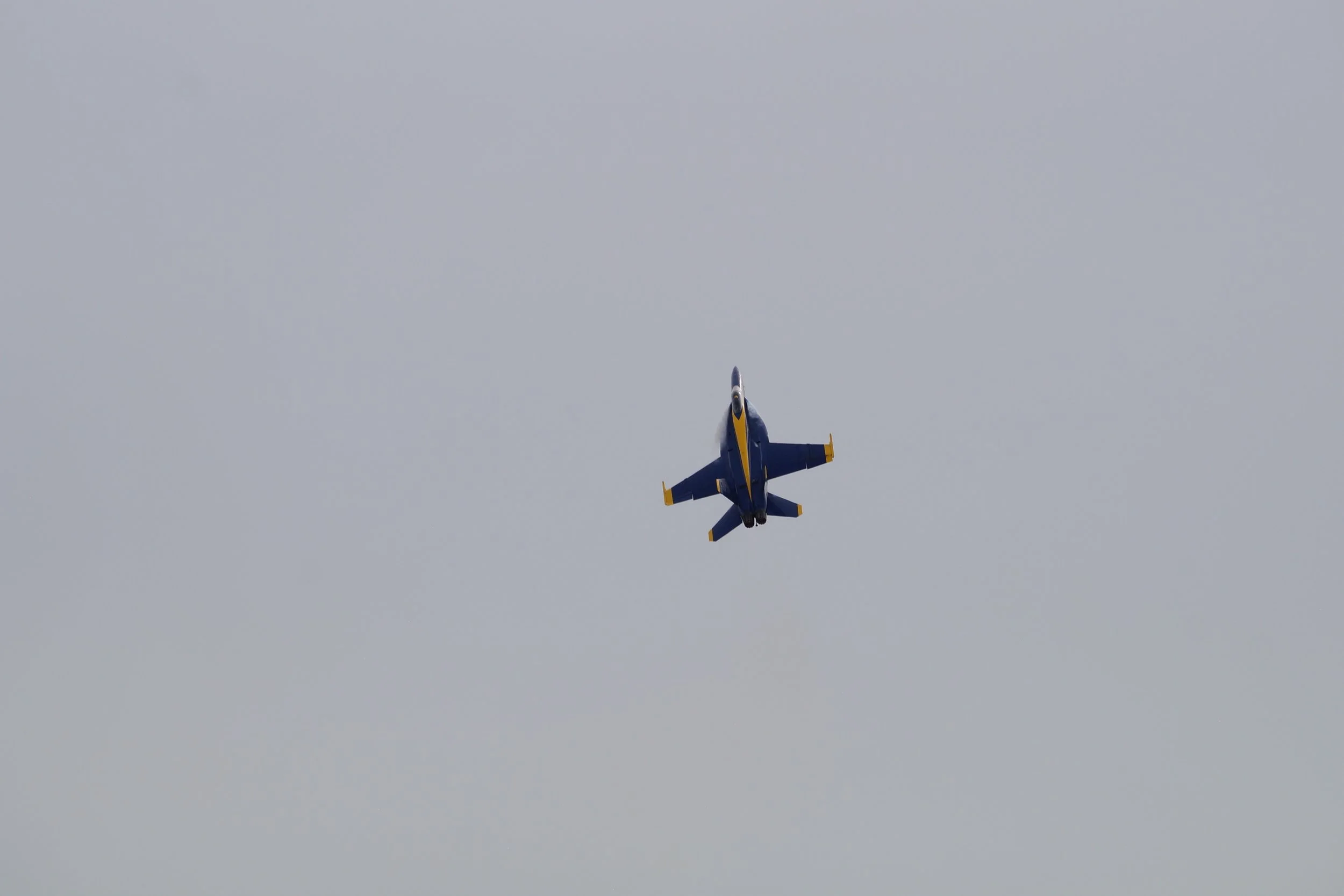 Blue Angels F/A 18 Super Hornet
