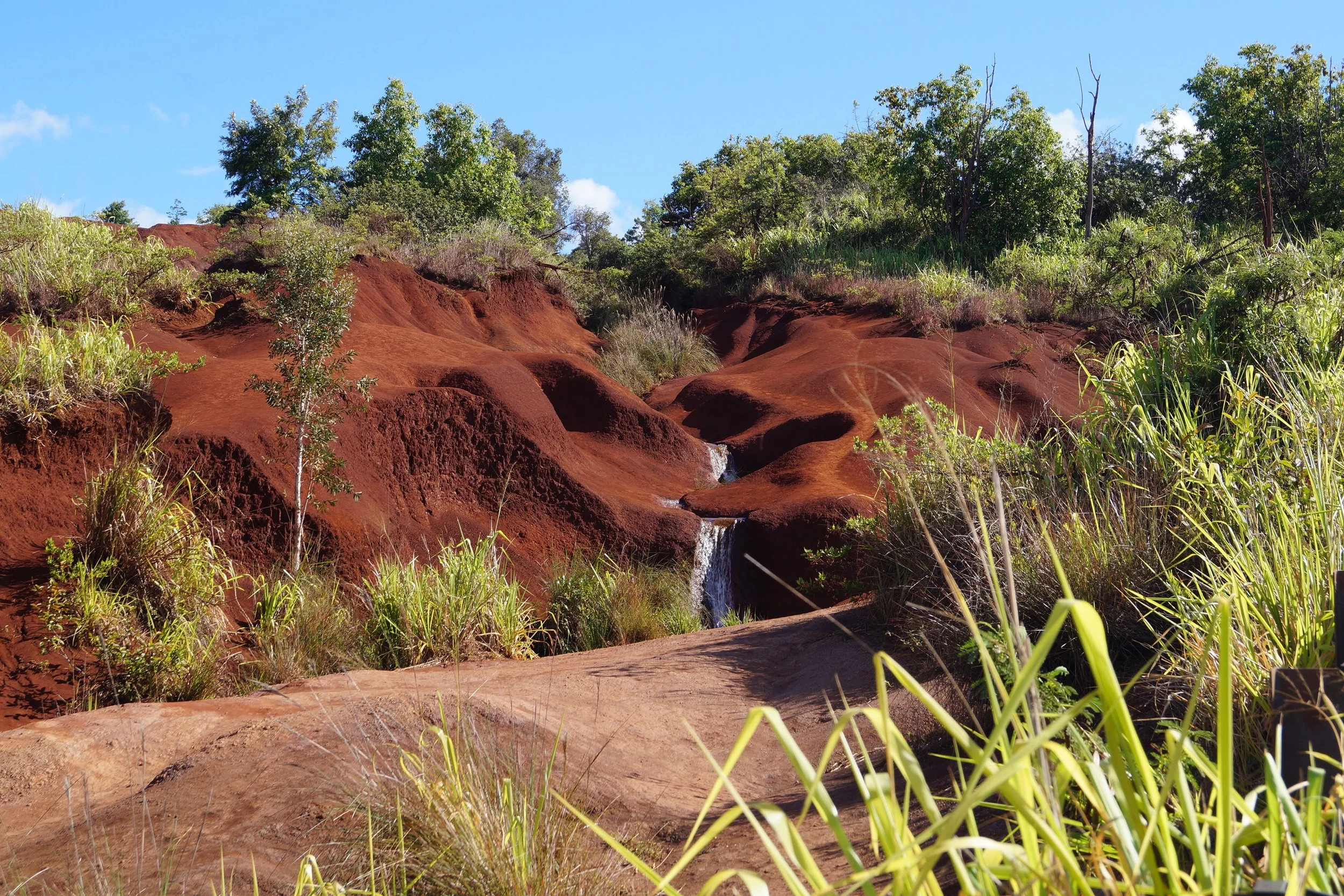 Waimea Canyon - Red Dirt Waterfall