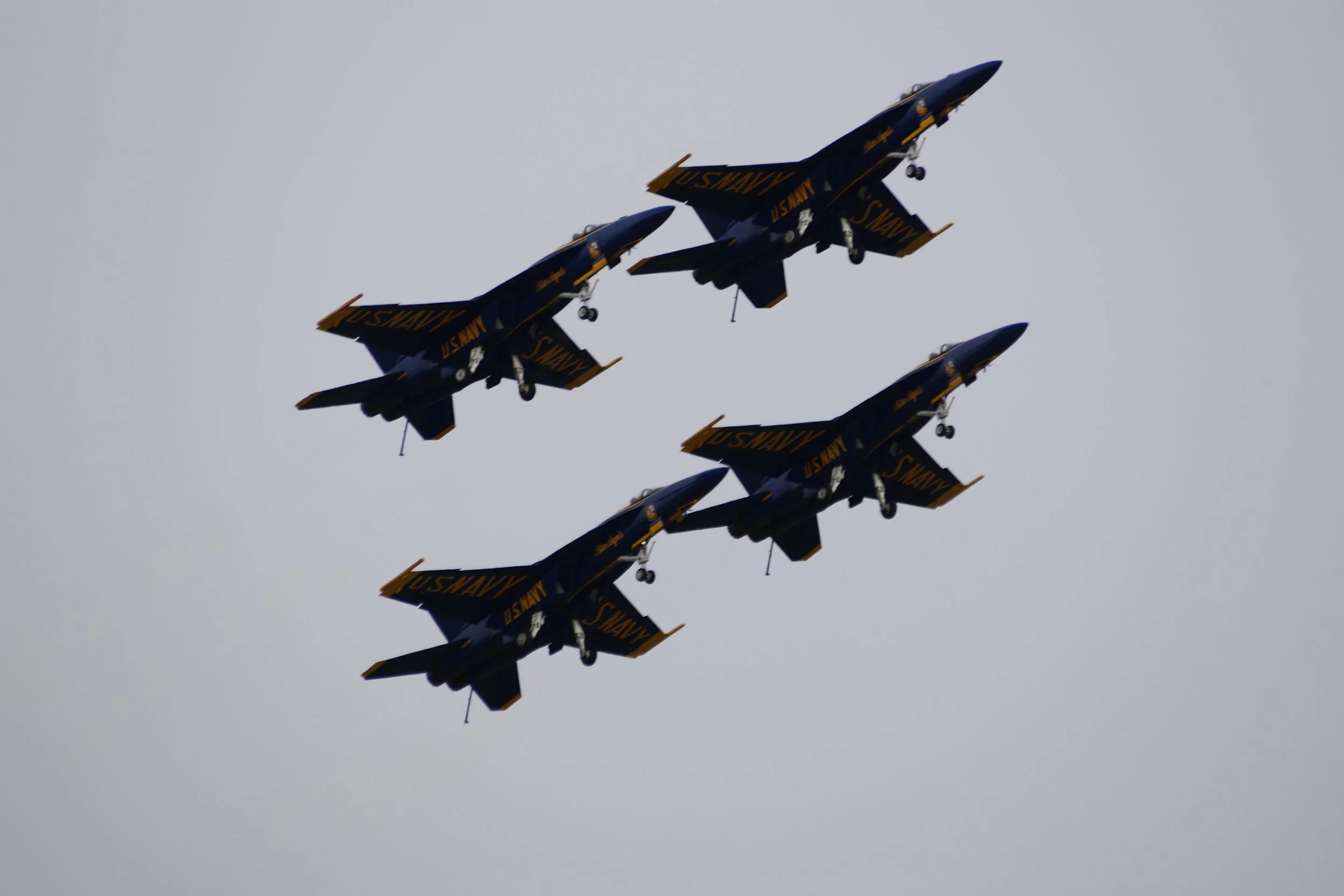 Blue Angels F/A 18 Super Hornet