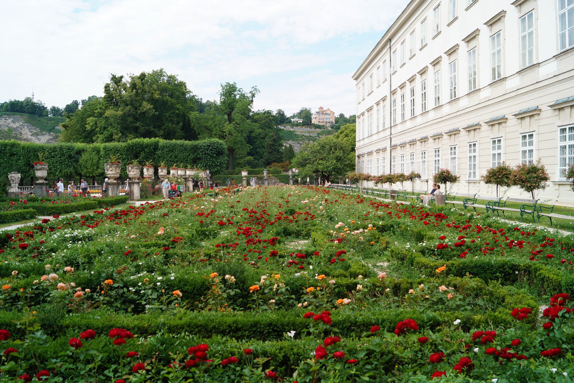 Salzburg - Mirabelle Palace - Rose Garden