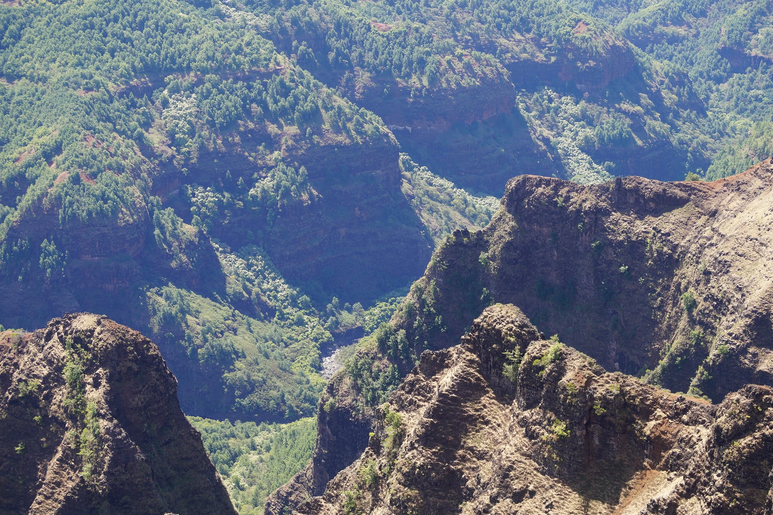 Waimea Canyon