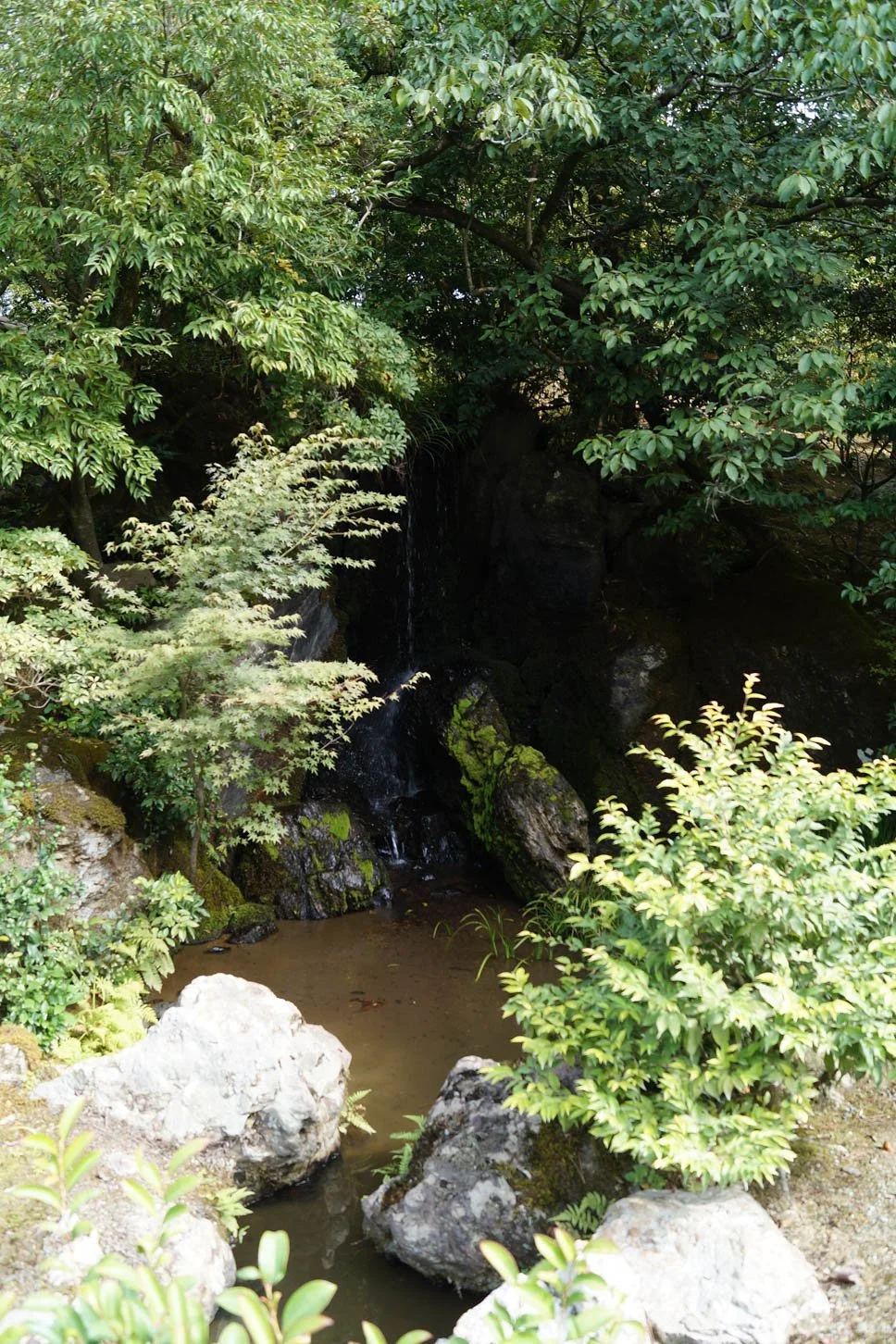 Kyoto - Waterfall at The Golden Pavilion and Kinkakuji Temple. Legend says that if a carp is able to jump from the bottom to the top of the fall it will turn into a dragon.