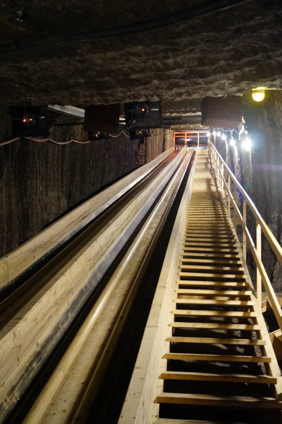 Hallstatt and Salt Mines Tour - Wooden slide