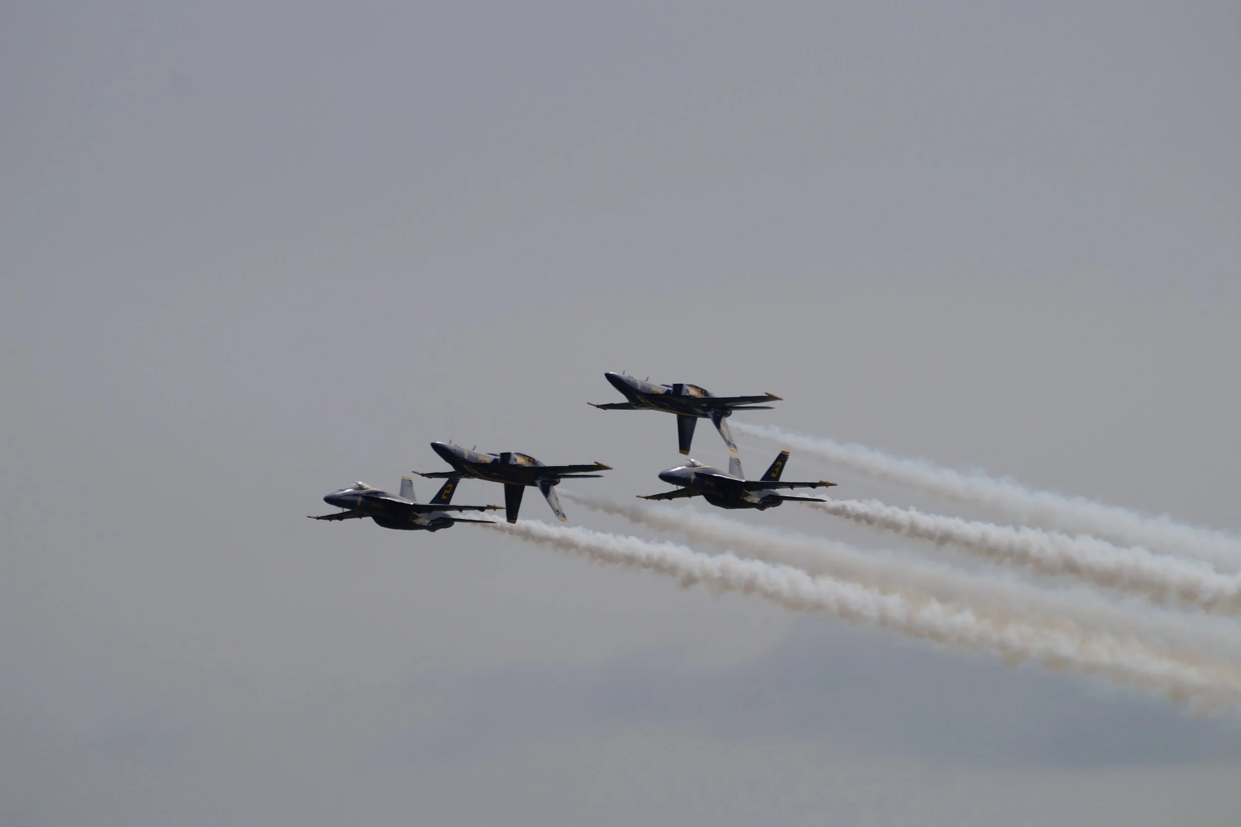 Blue Angels F/A 18 Super Hornet
