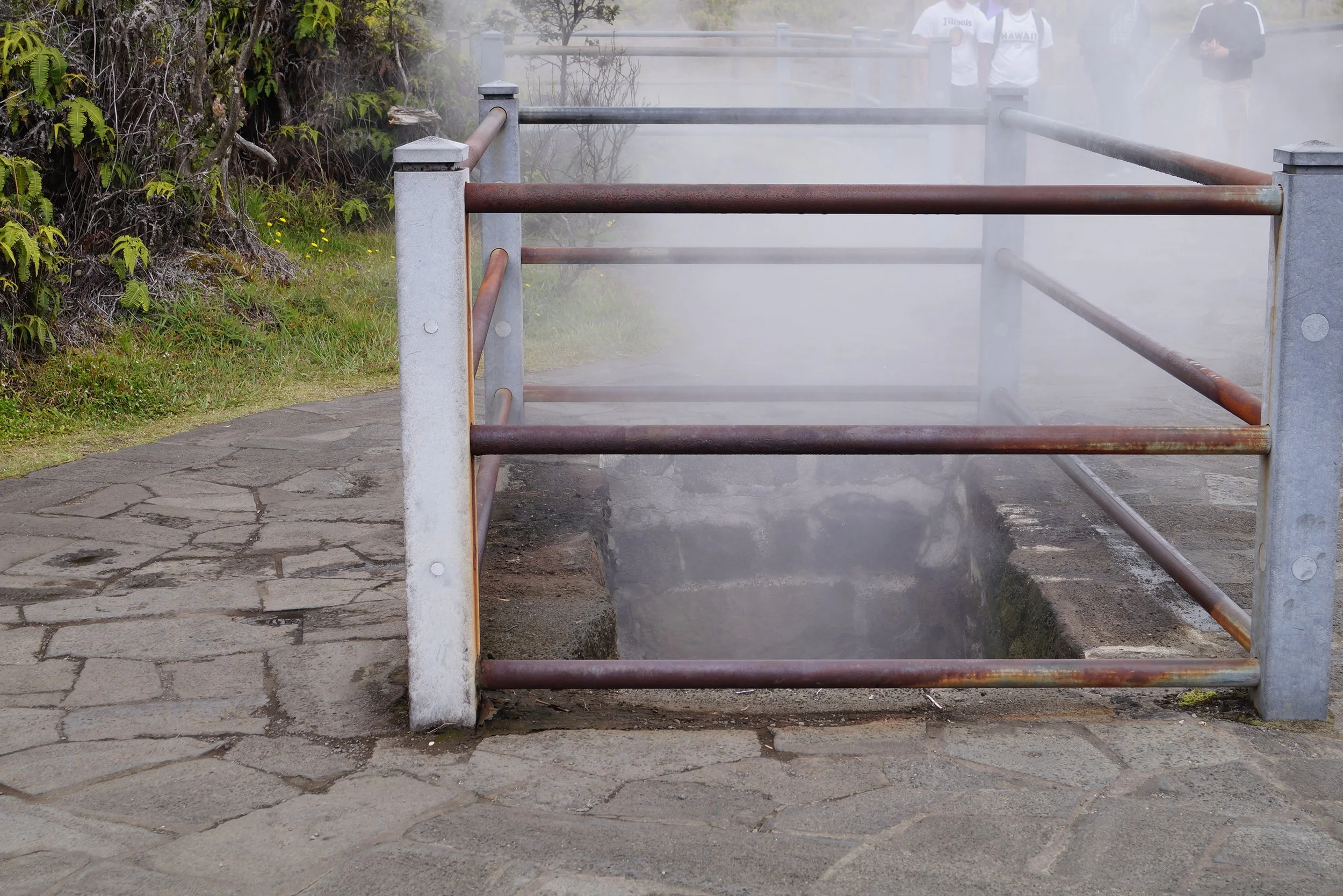 Volcanoes National Park - Steam Vents