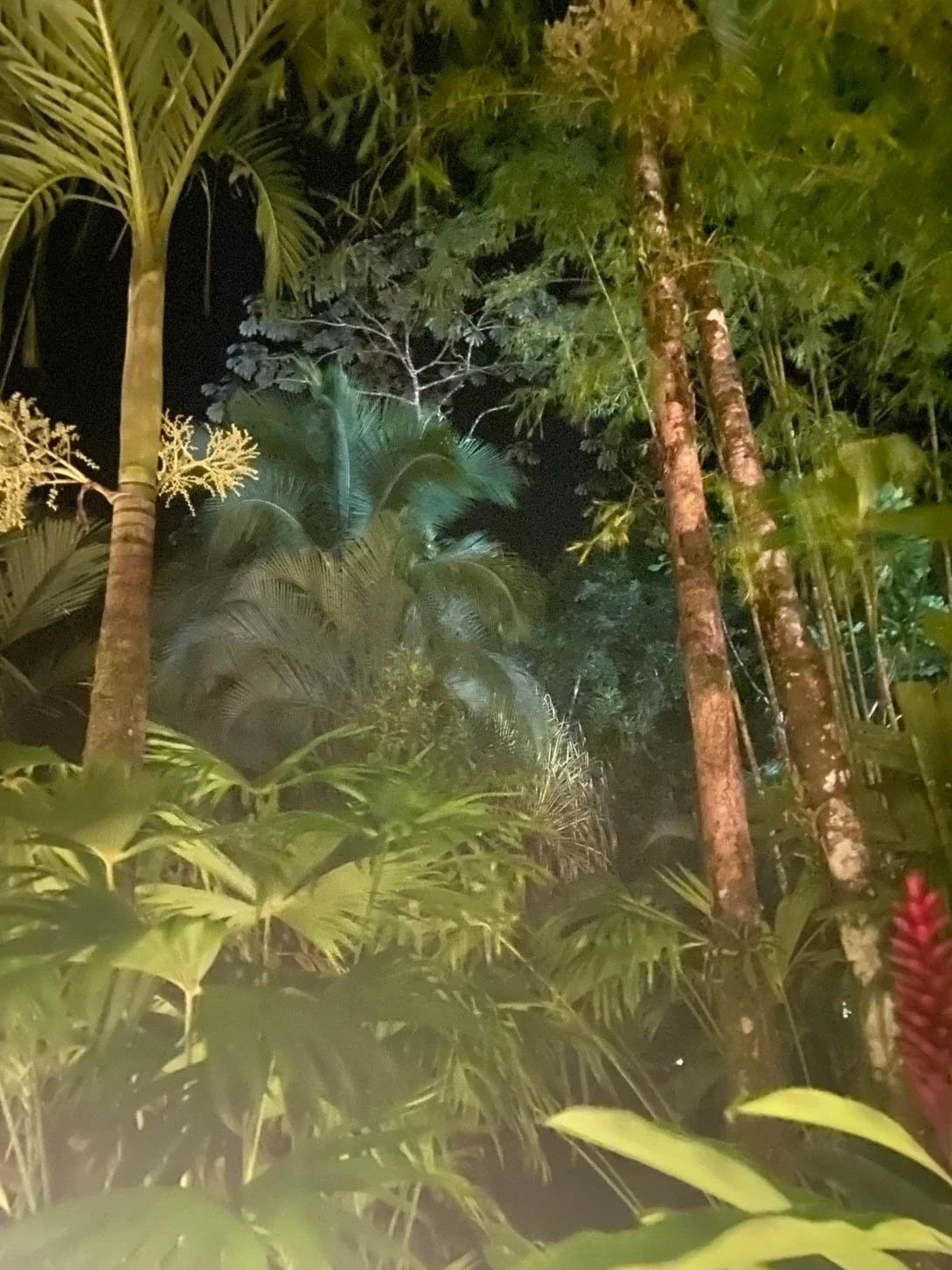 Tabacon Hot Springs