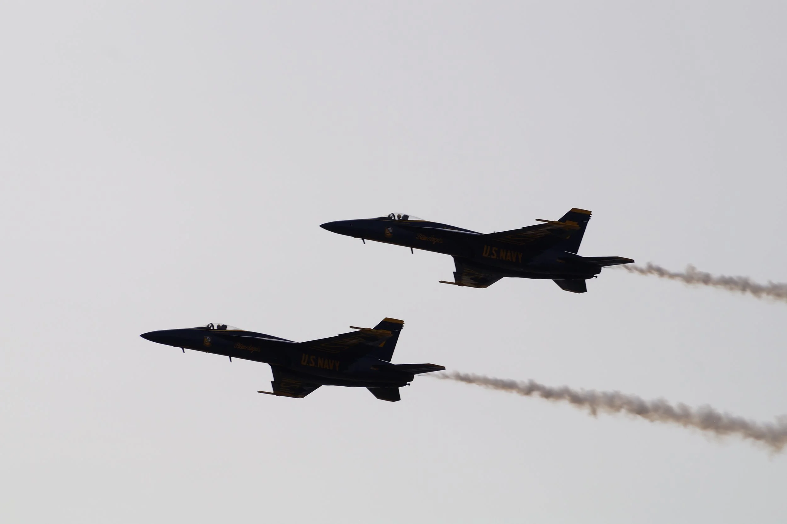 Blue Angels F/A 18 Super Hornet