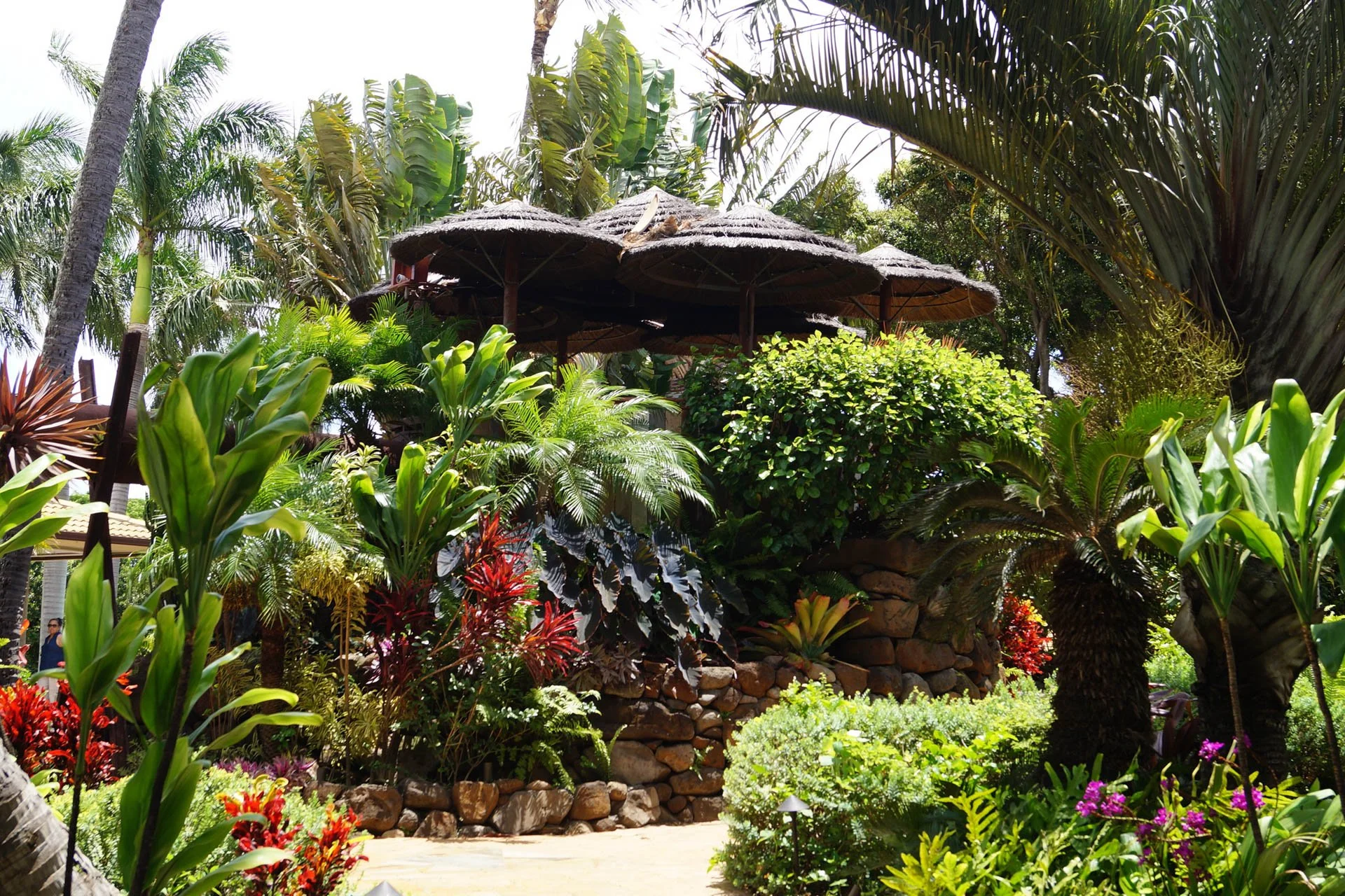Maui - Maui Tropical Plantation