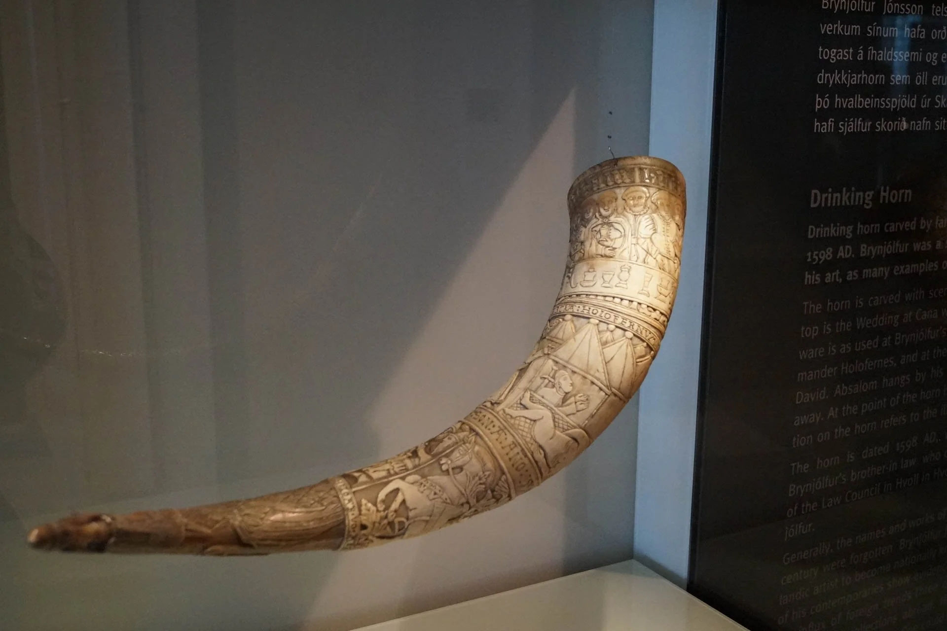 National History Museum