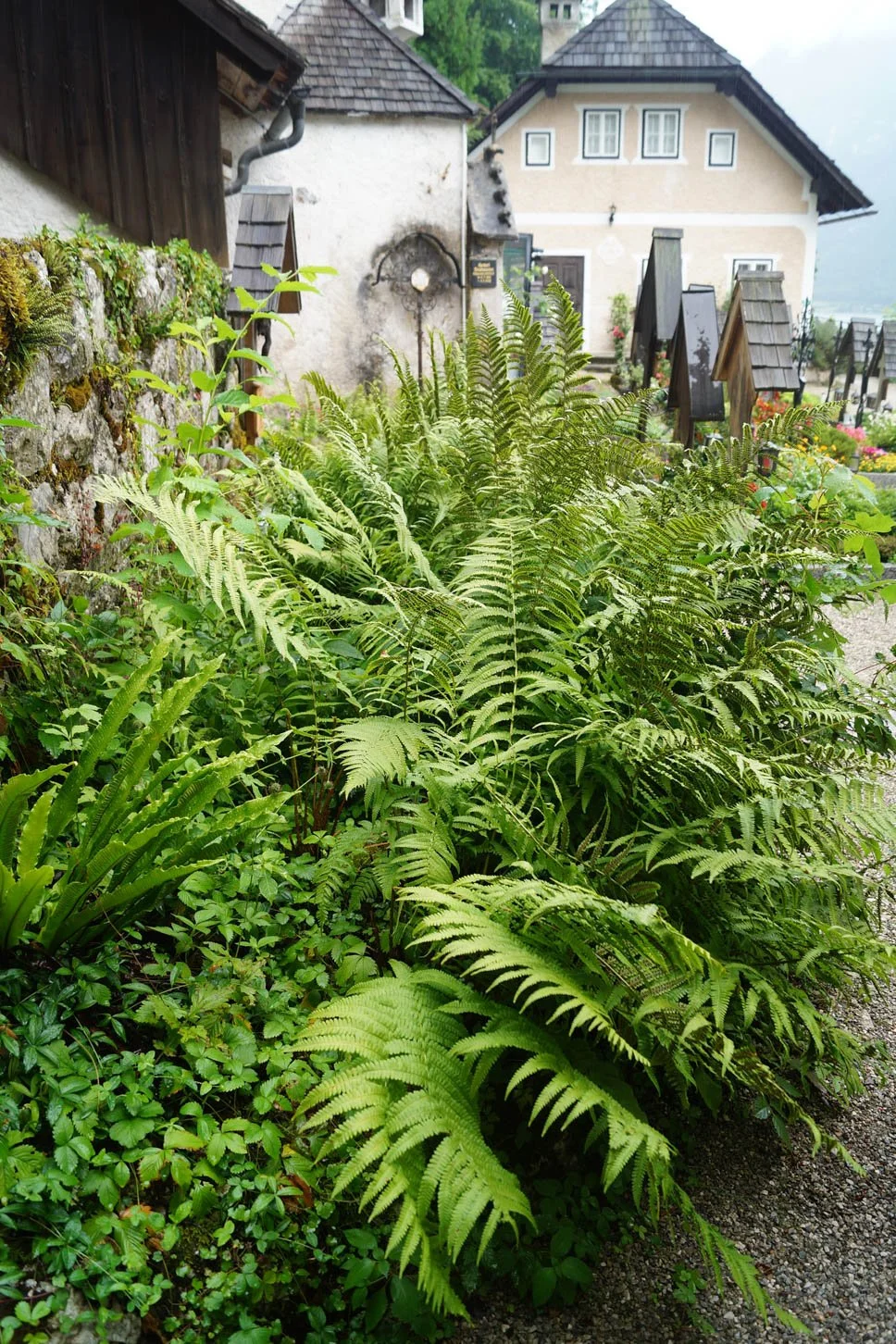 Hallstatt - Cemetery