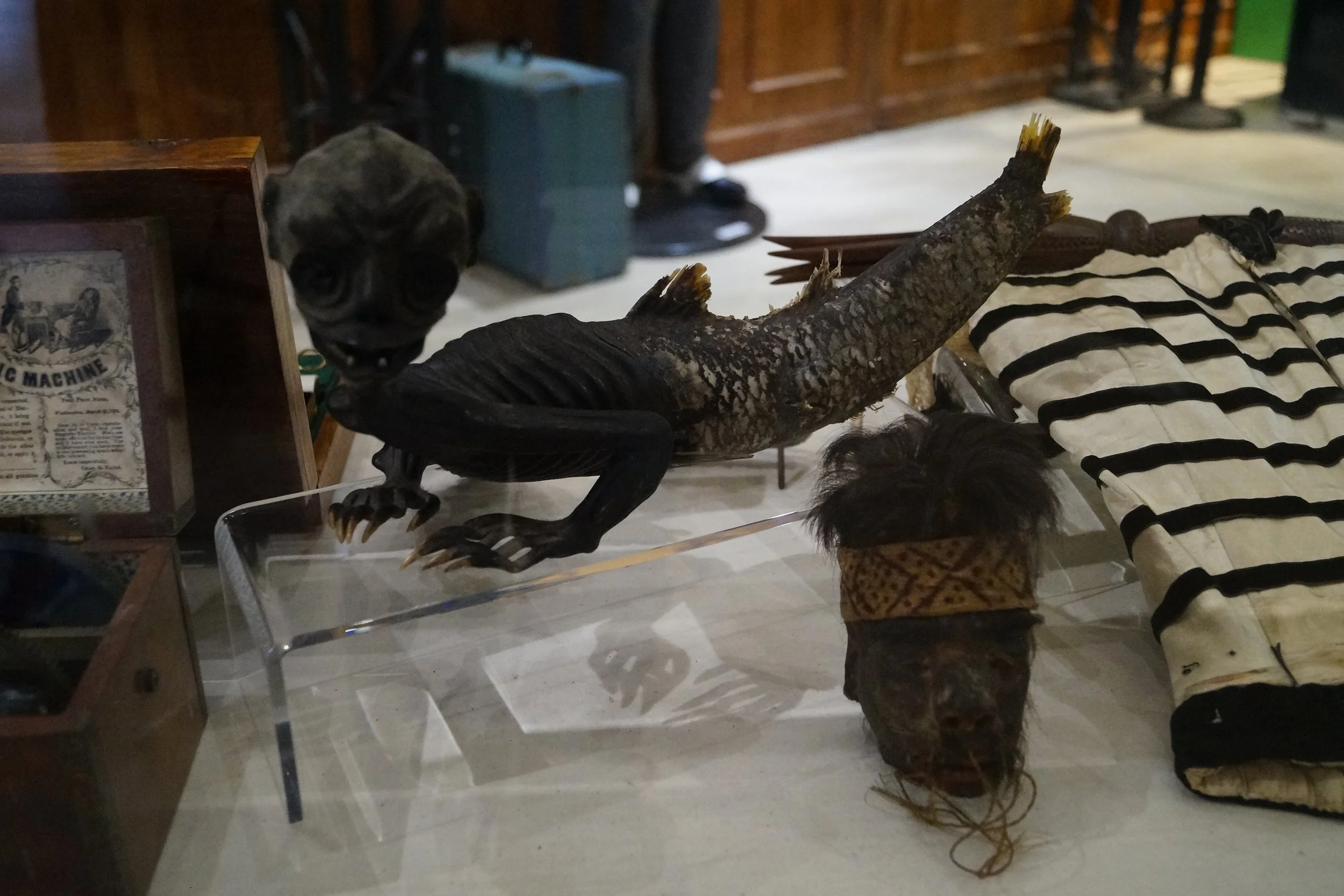 Balboa Park: Air and Space Museum - Fiji Mermaid and Shrunken Head