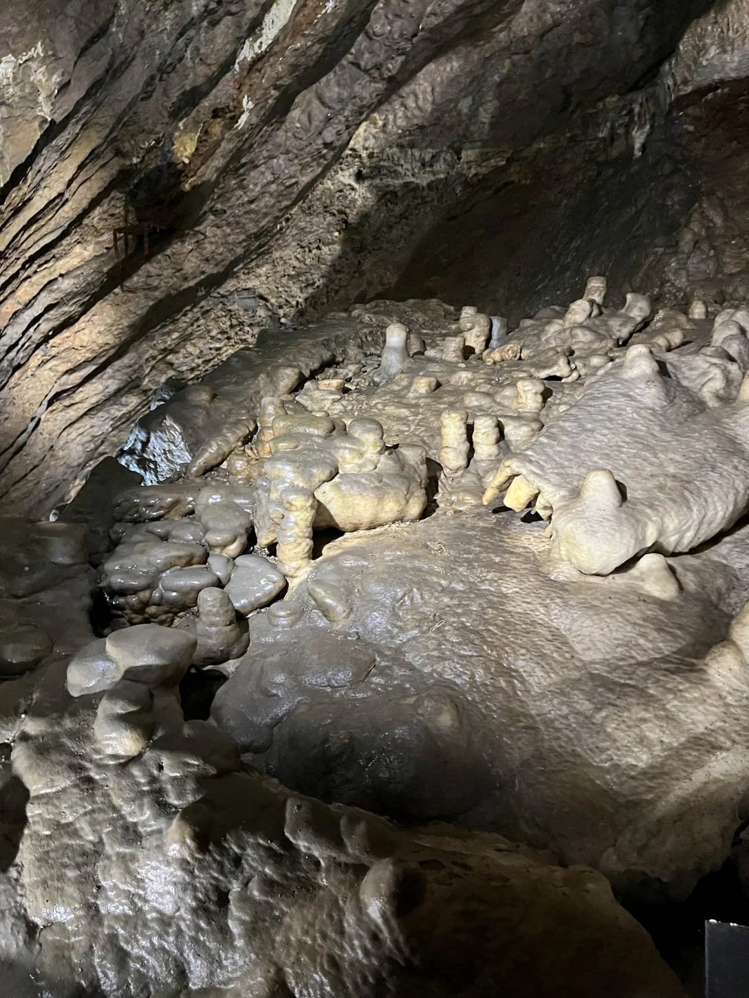 Grotte de Han