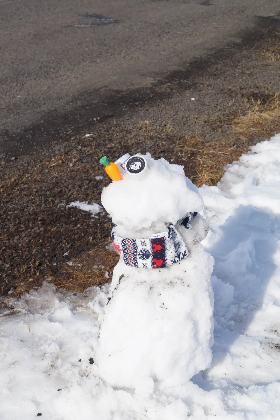 Road to Snæfellsnes - Building a snowman on the side of the road