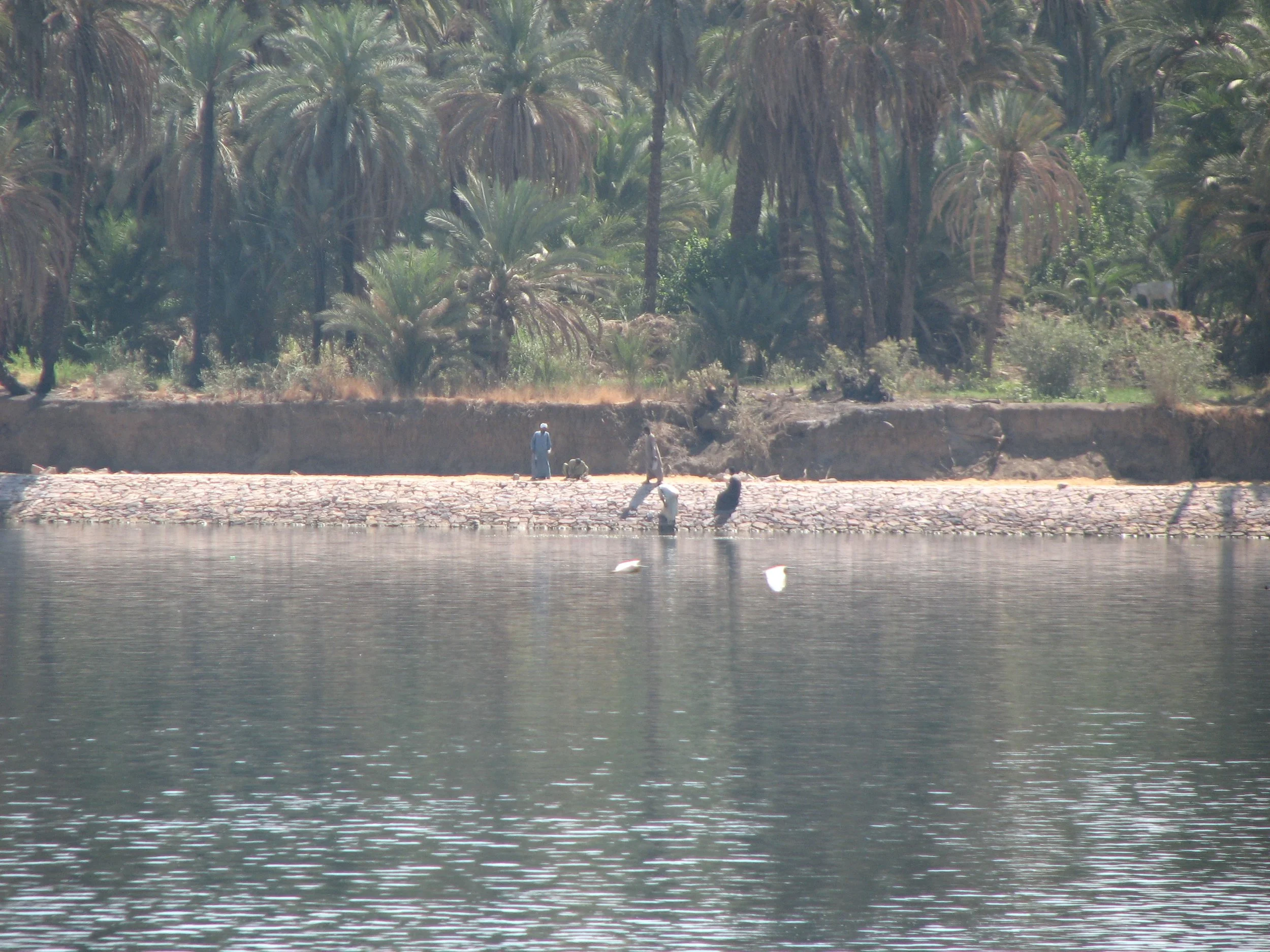 Sailing on the Nile from Aswan to Luxor