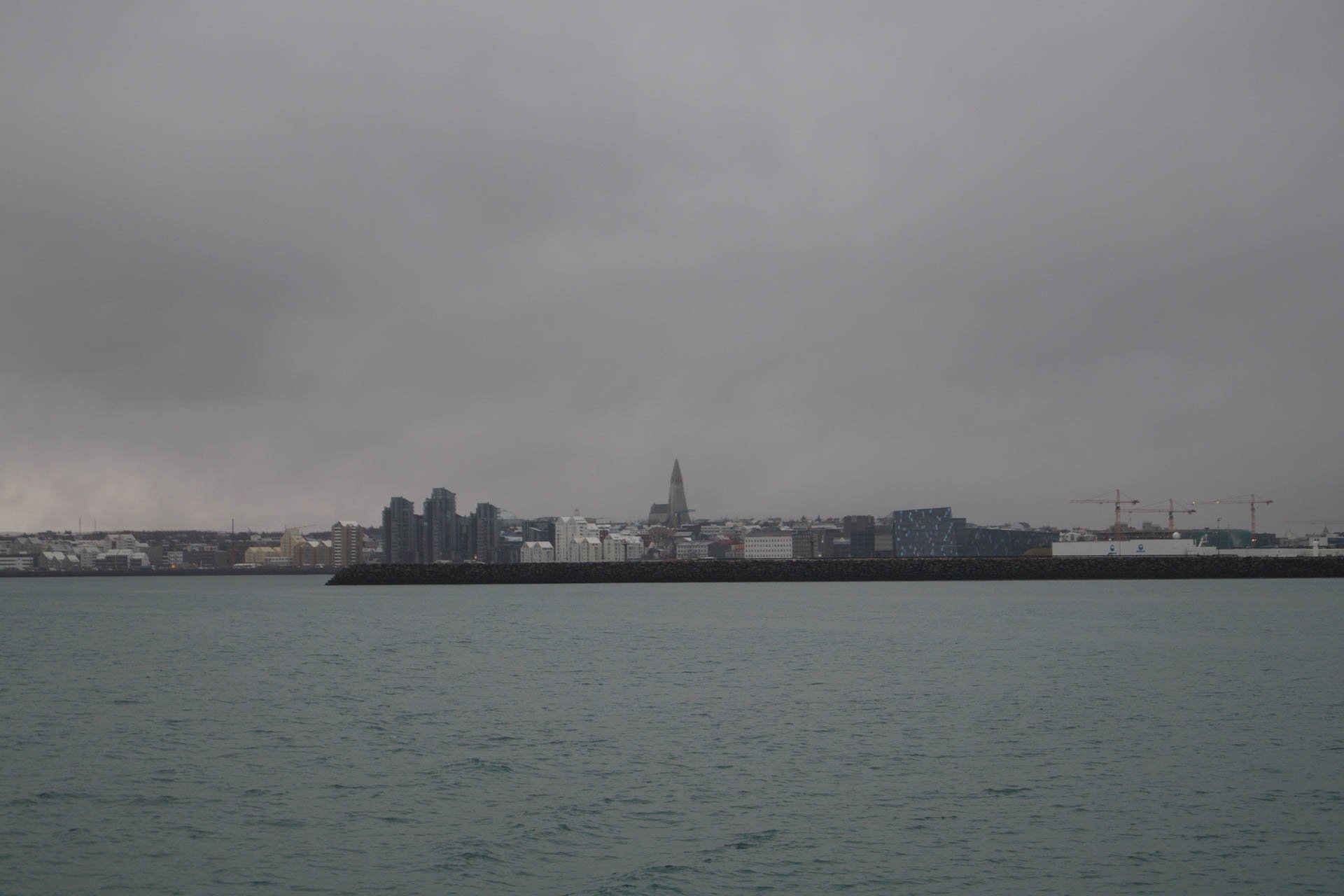 Reykjavik cityscape as seen from the ferry on which we went on the whale watching excursion.