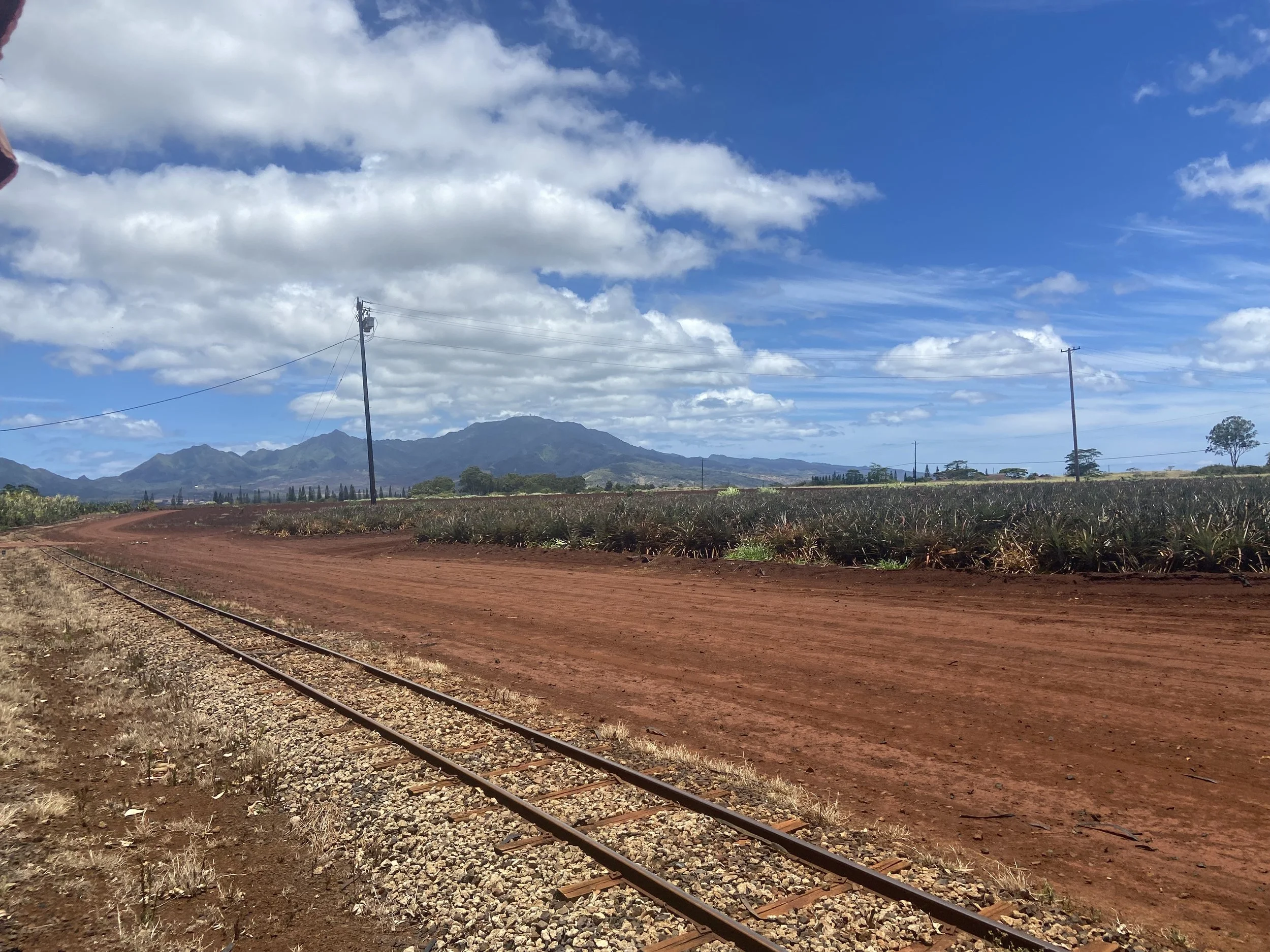 Dole Plantation - Pineapple Express