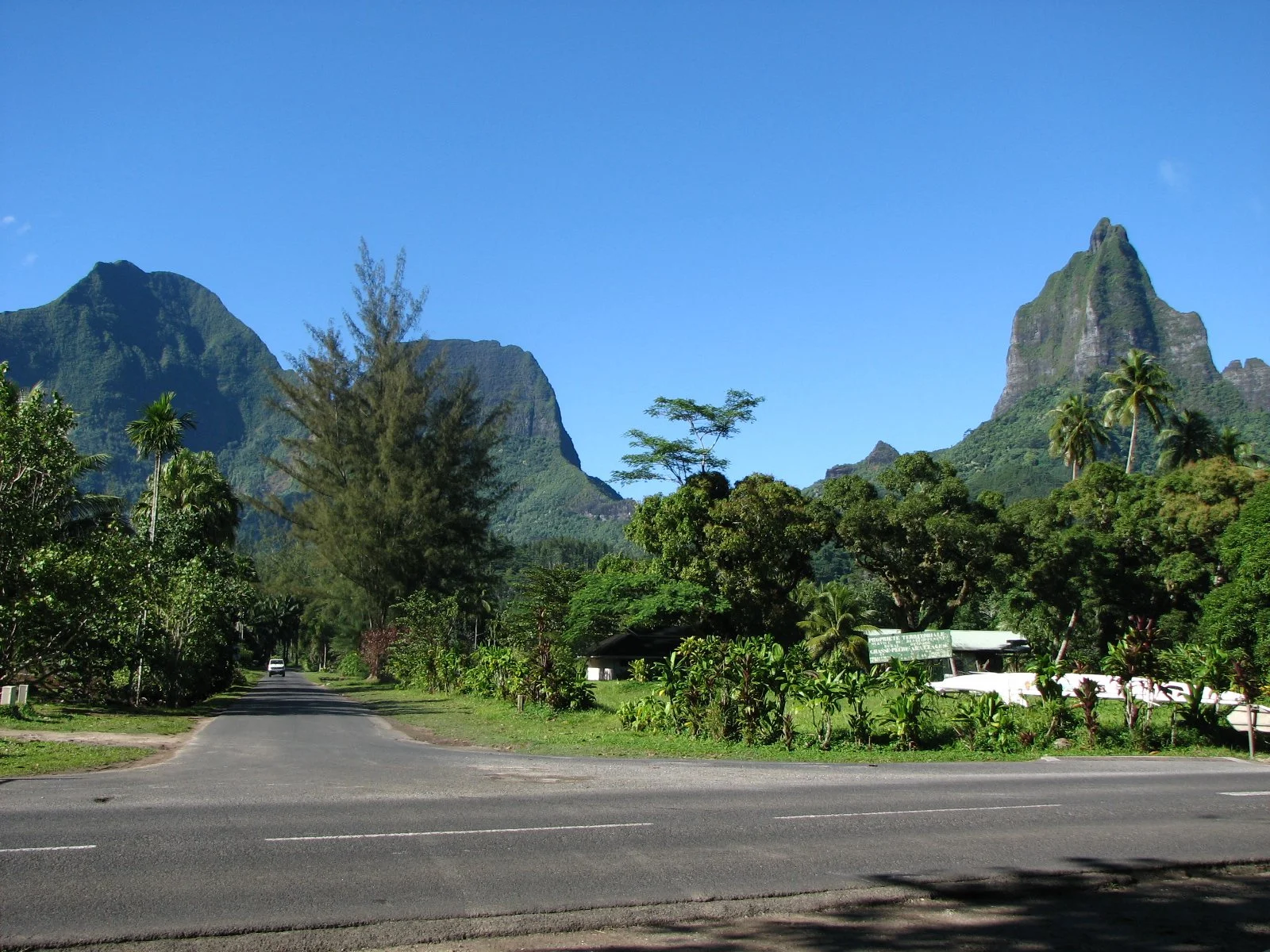 Moorea