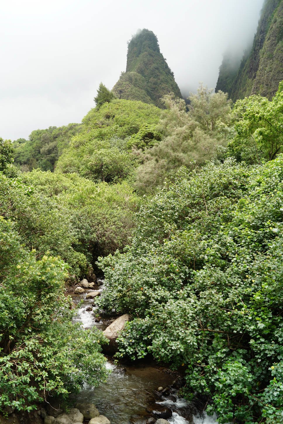 Maui - Iao Needle
