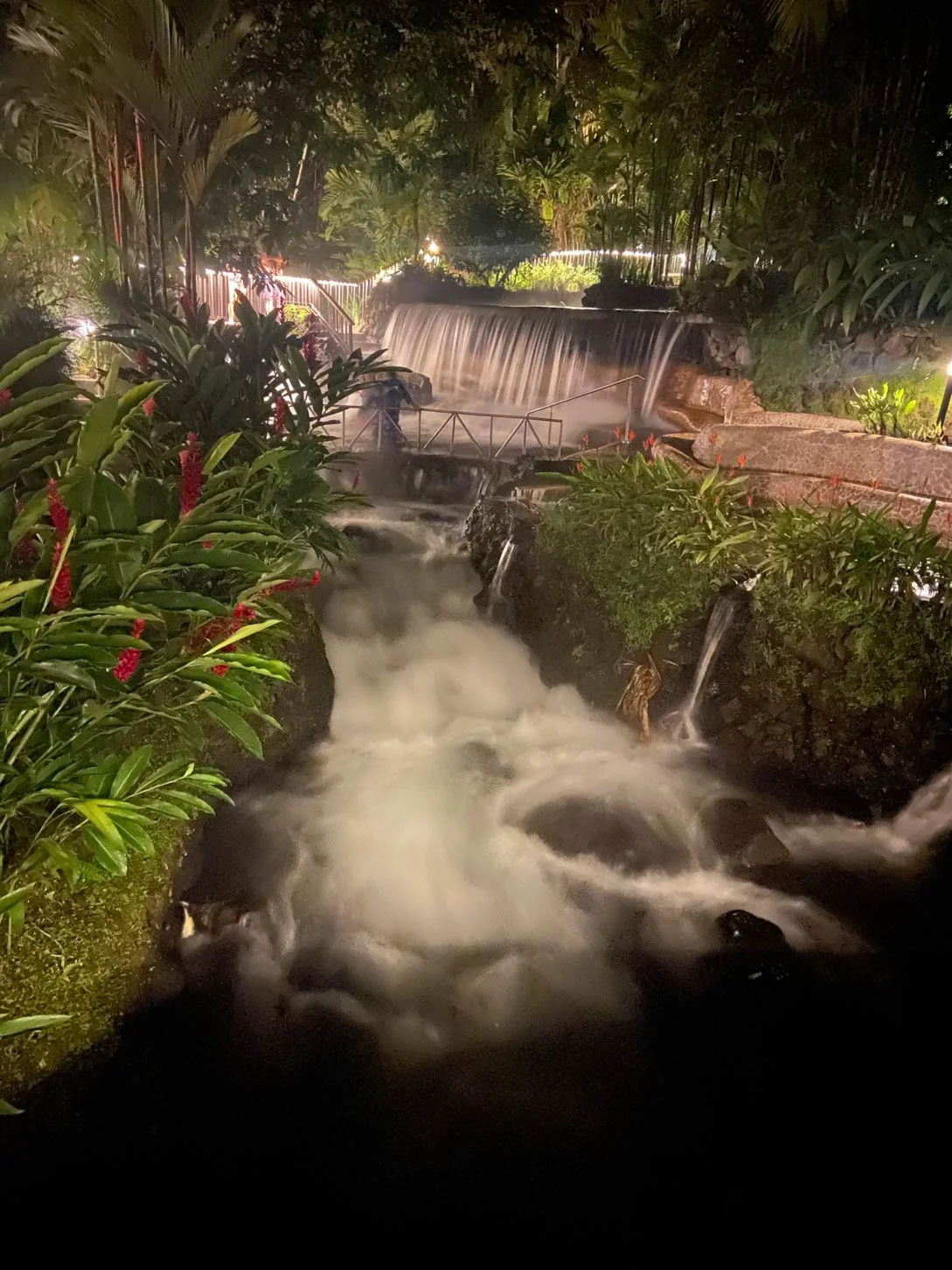 Tabacon Hot Springs. That night we went to the Tabacon Hot Springs and relaxed in the natural pools of water in the rain forest.