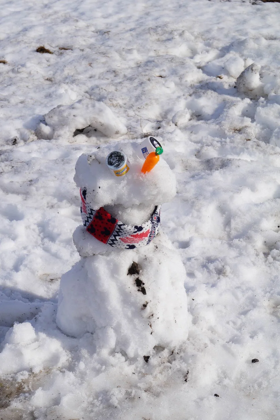 Road to Snæfellsnes - Building a snowman on the side of the road