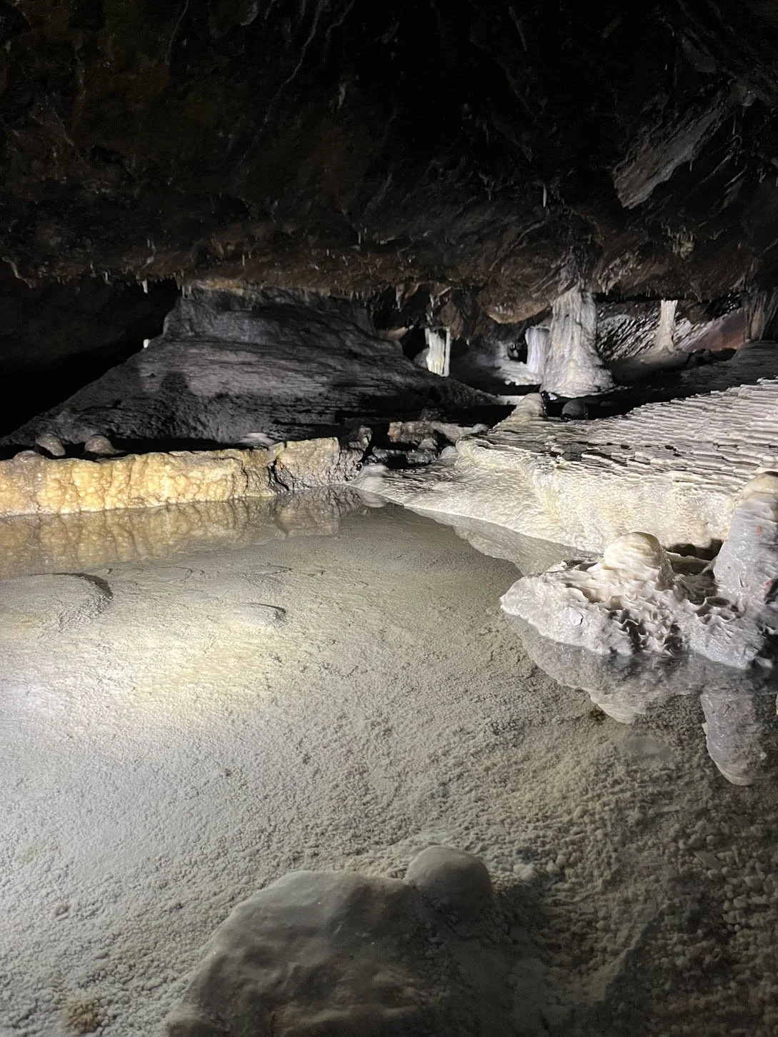 Grotte de Han