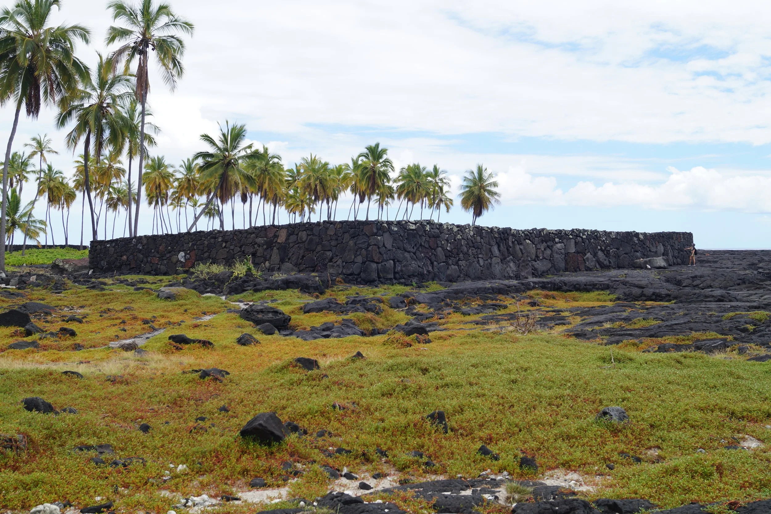Pu'uhonua O Hōnaunau National Historical Park - Ale'ale'a