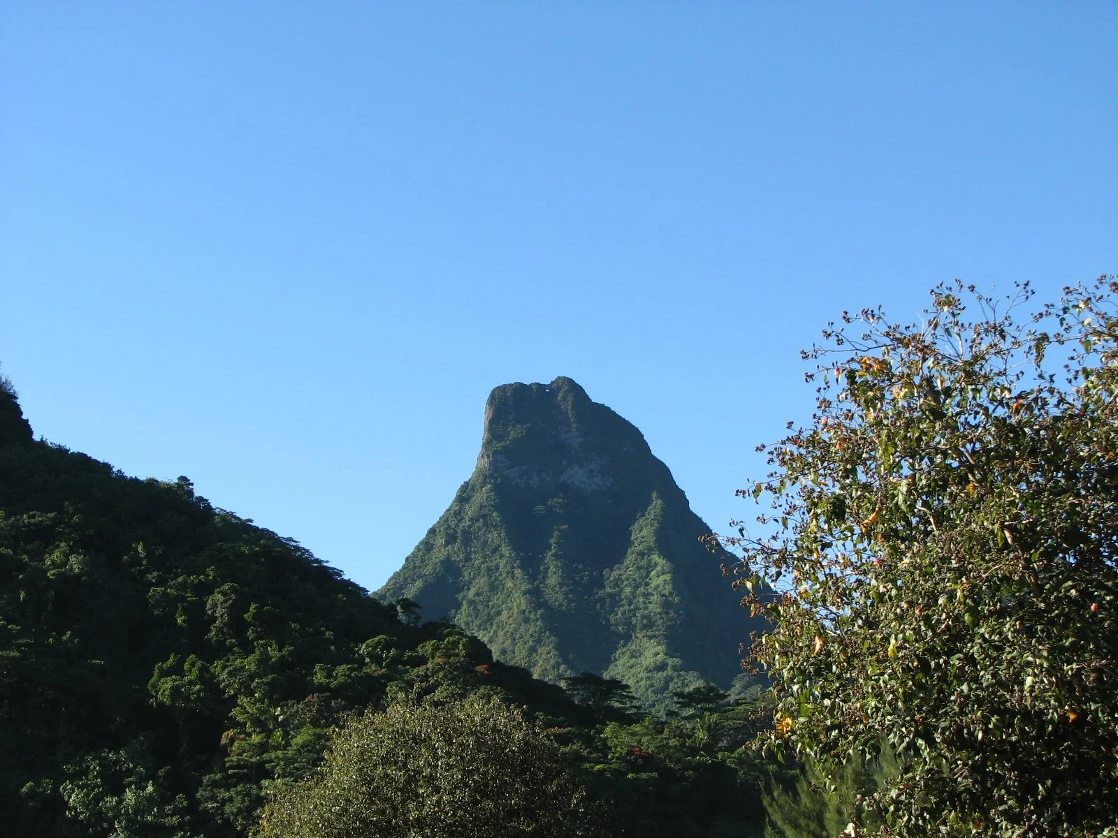 Moorea