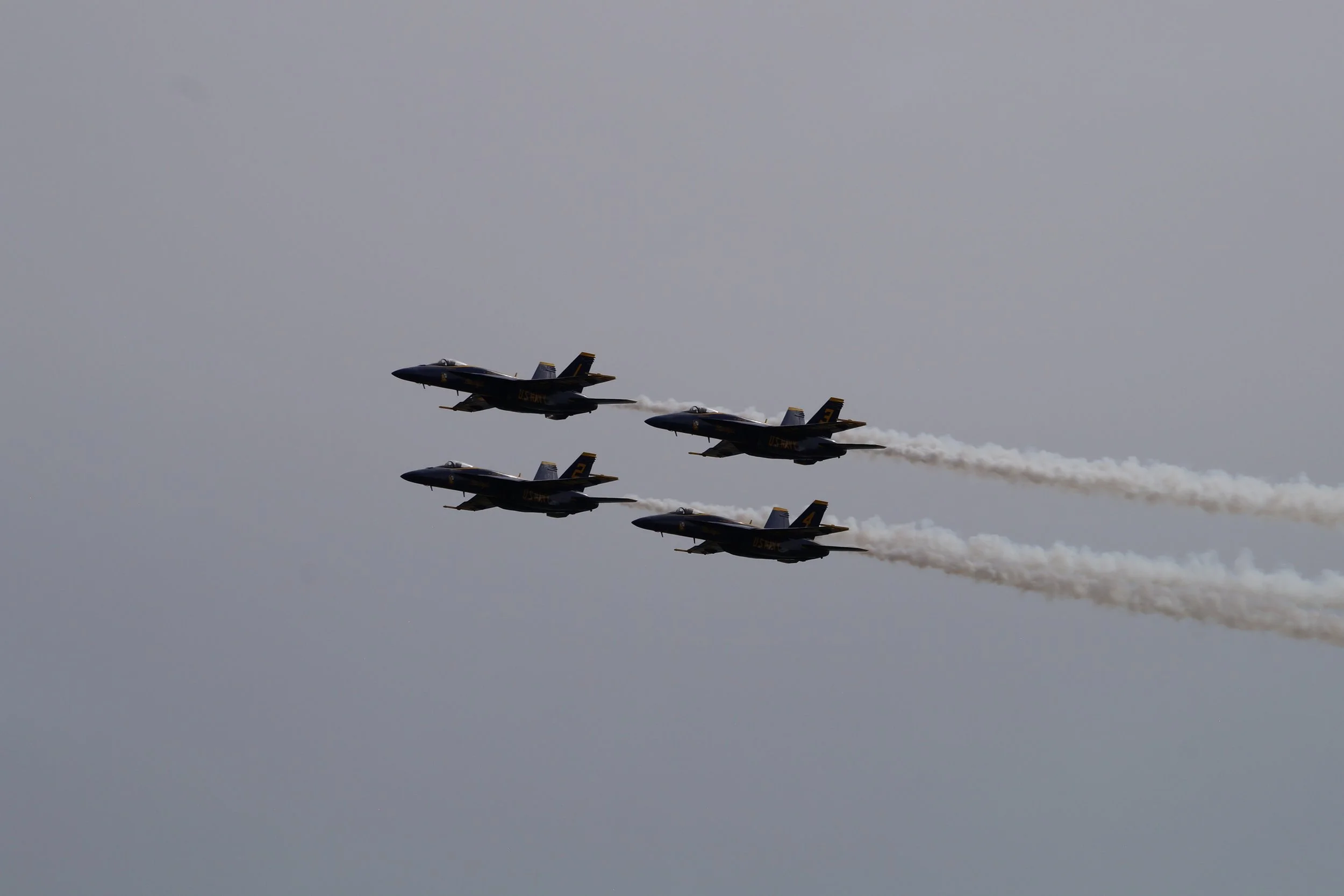 Blue Angels F/A 18 Super Hornet