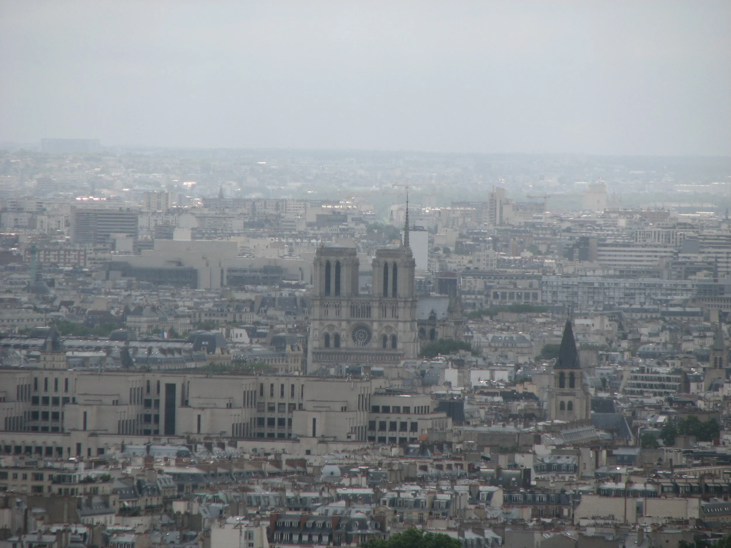 View of Paris from the Eiffel Tower - Notre Dame Cathedral