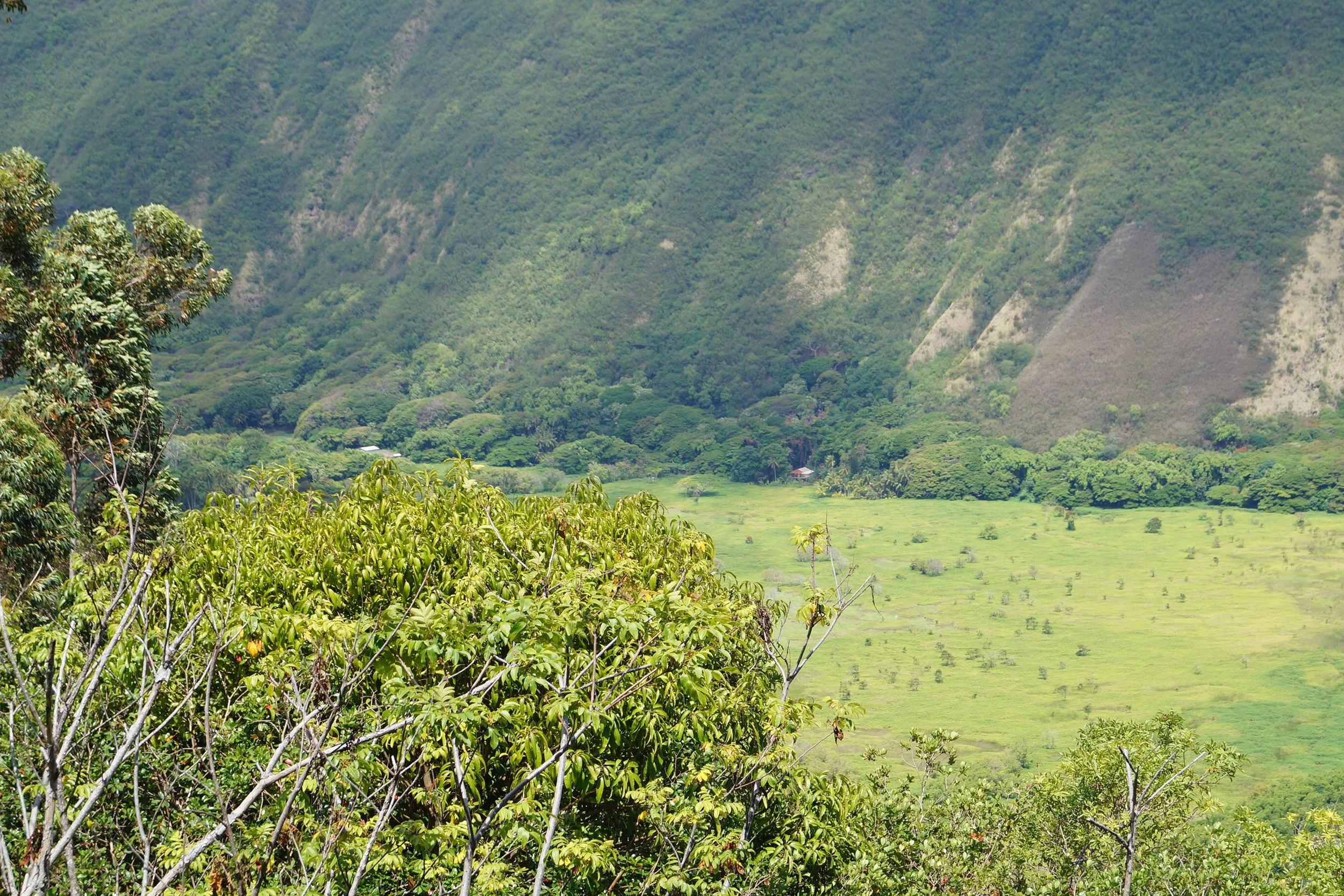 Scenic Drive - Waipio Valley Lookout