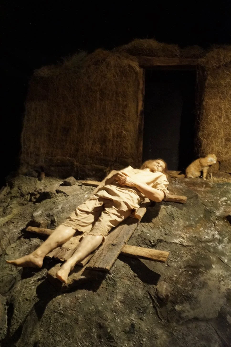 Saga Museum - The Black Death