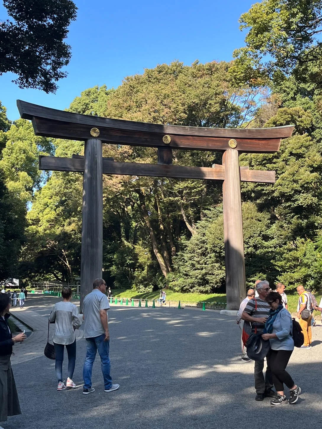 Tokyo - Torii at Meji-Jingu Shrine
