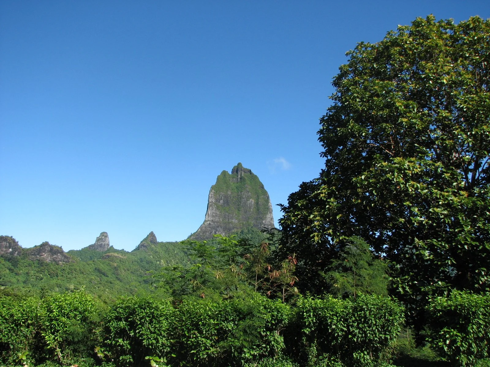 Moorea