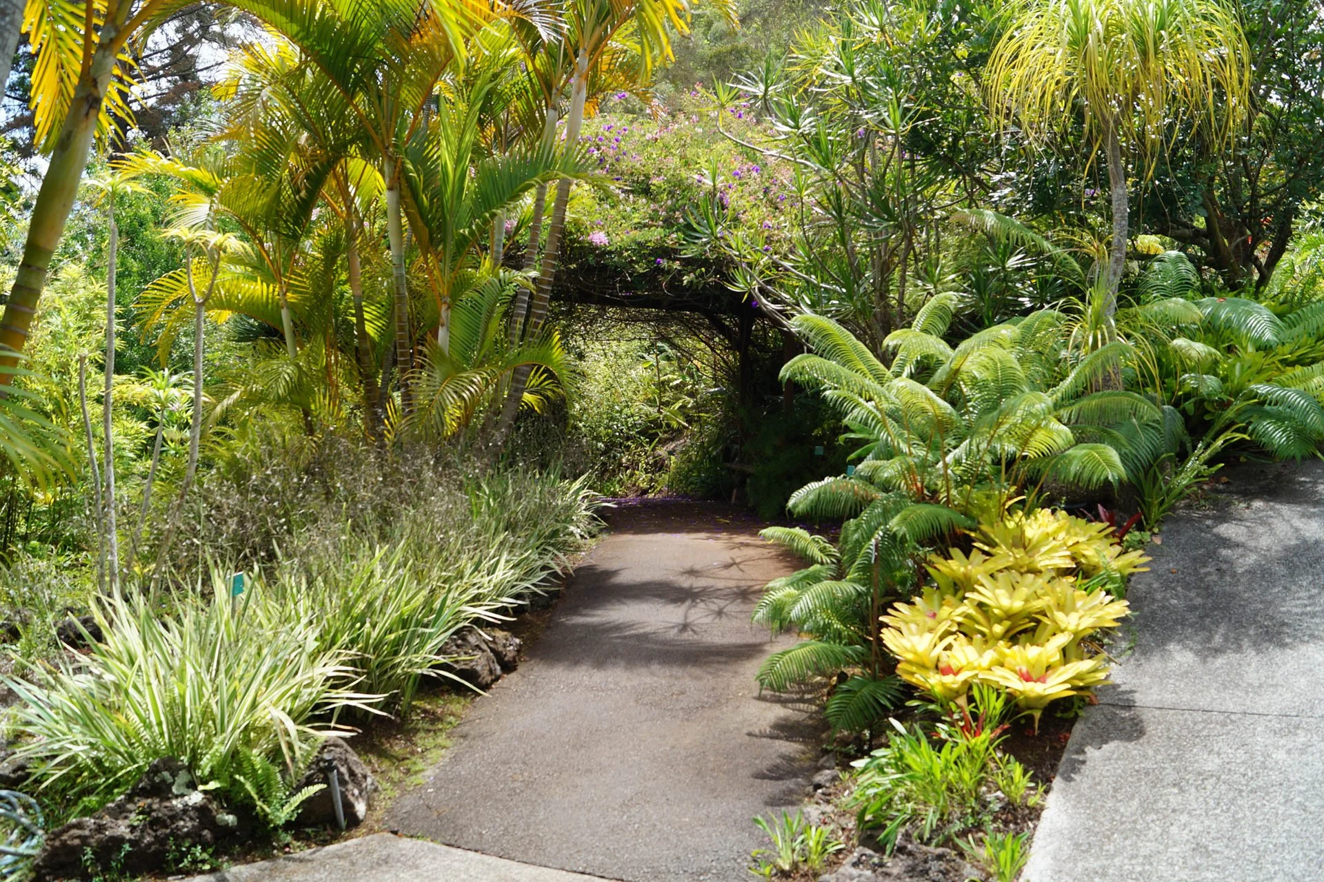 Maui - Kula Botanical Gardens