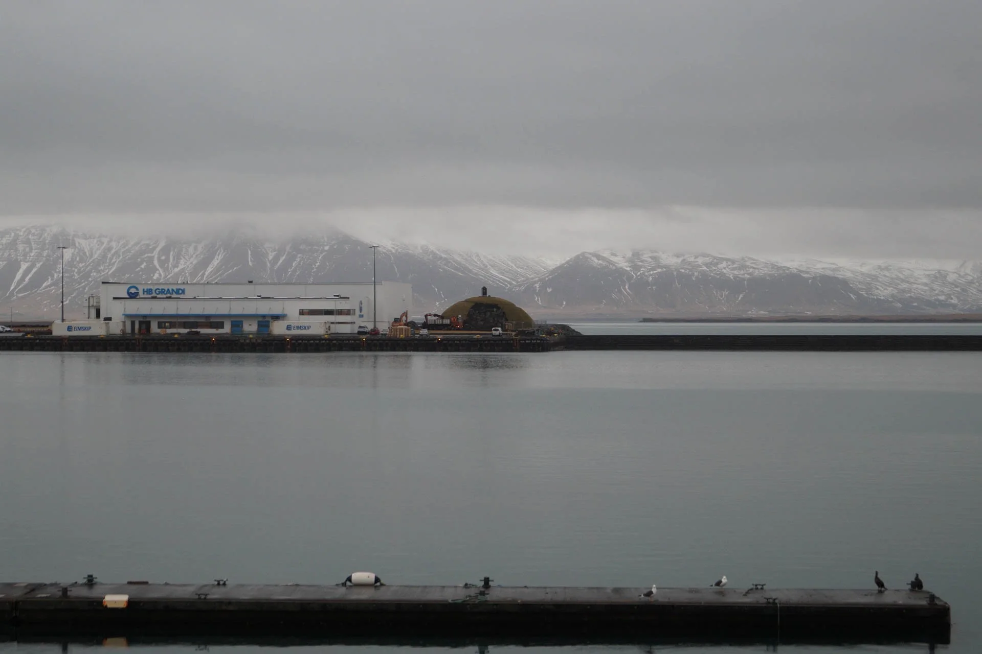Reykjavik Harbor - we went on a whale watching excursion