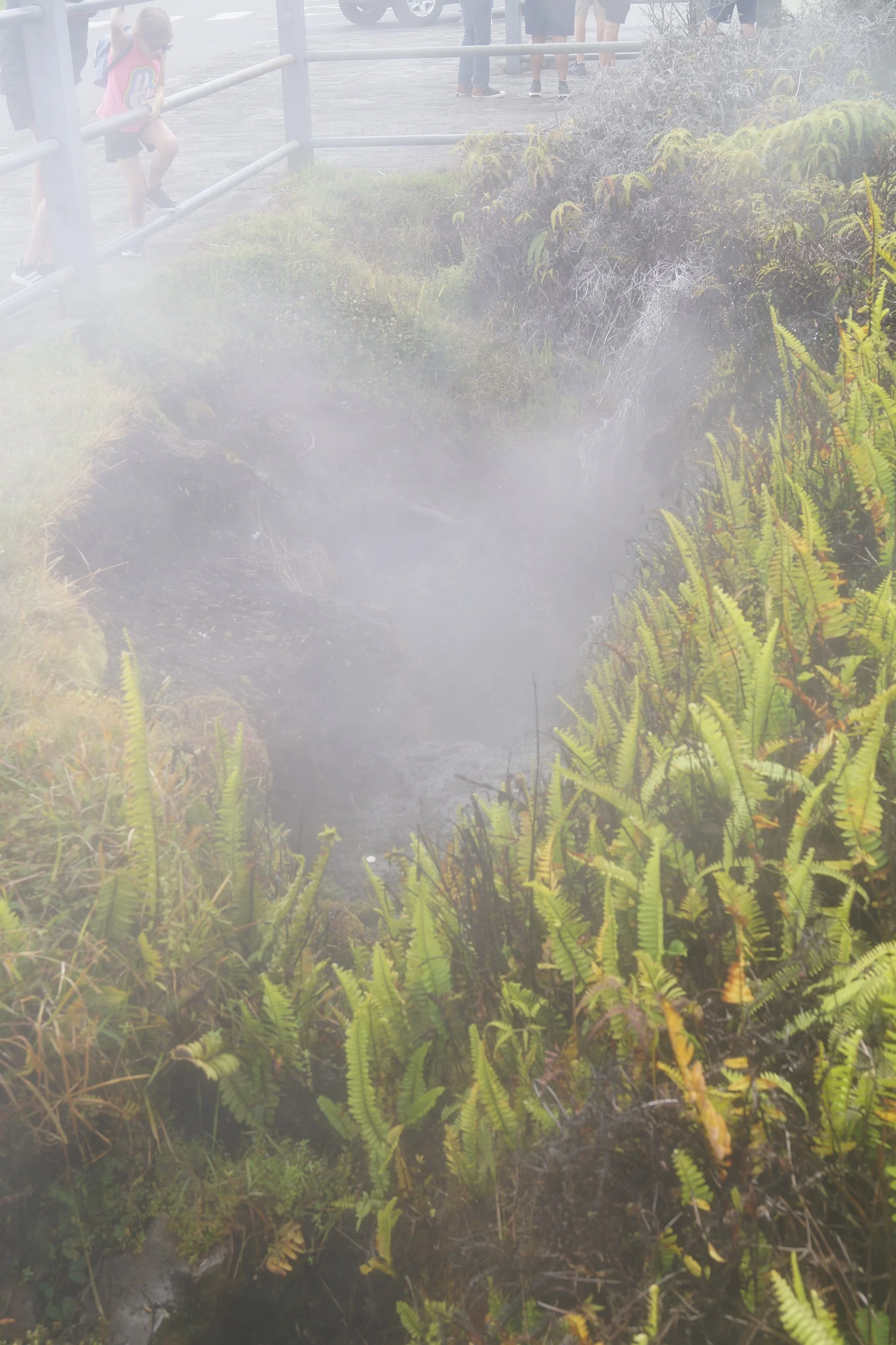 Volcanoes National Park - Steam Vents