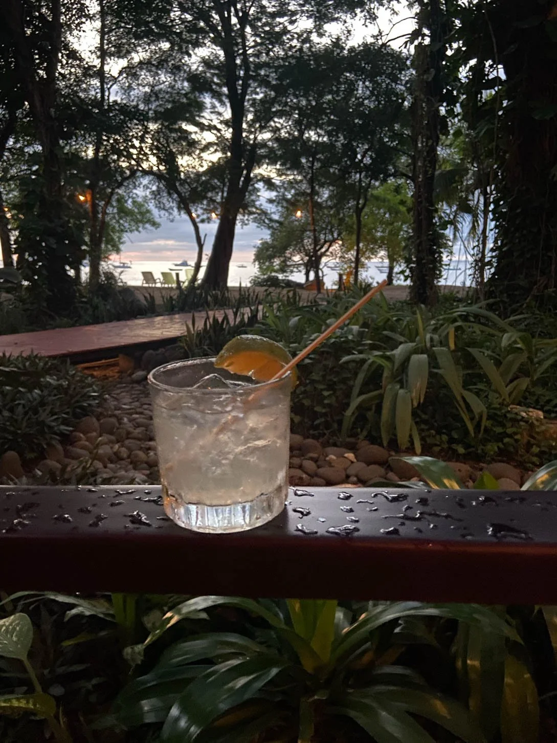 Guaro Sour at Bosque Del Mar Hotel