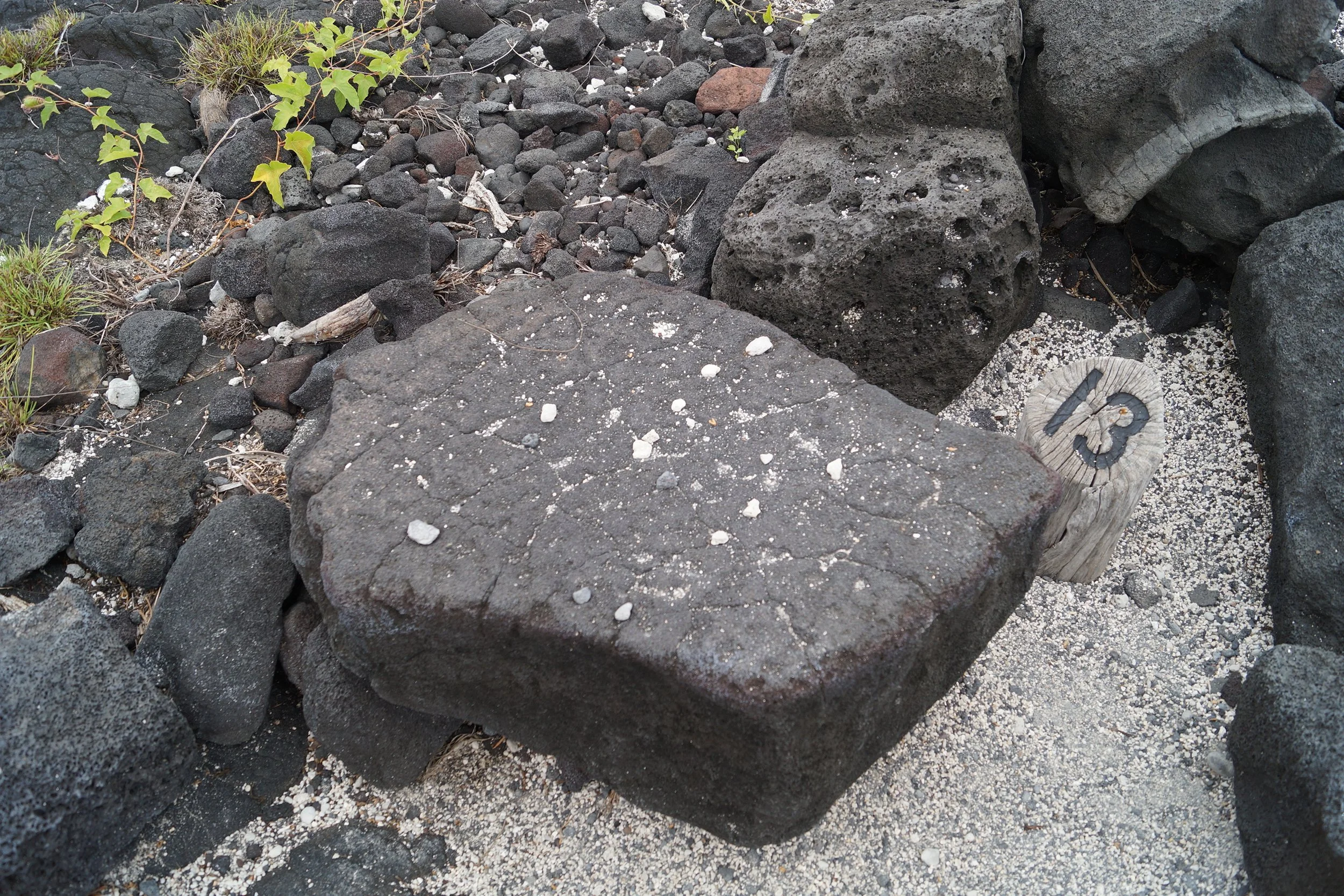 Pu'uhonua O Hōnaunau National Historical Park - Papamu