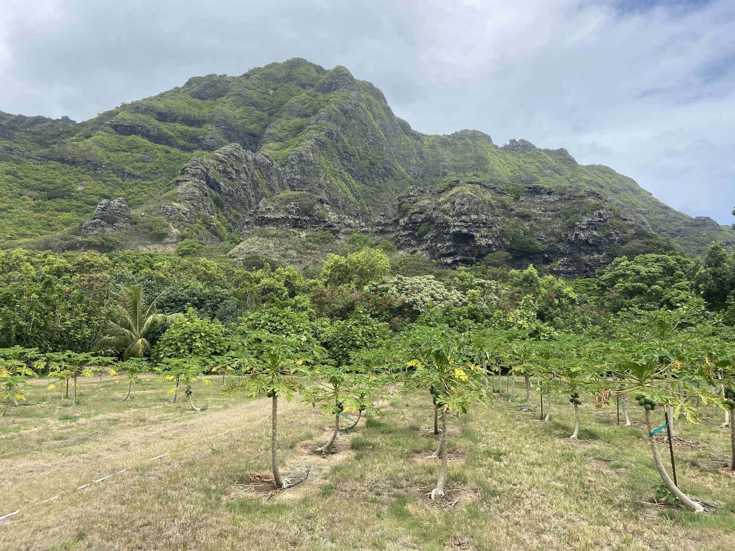 Kualoa Ranch