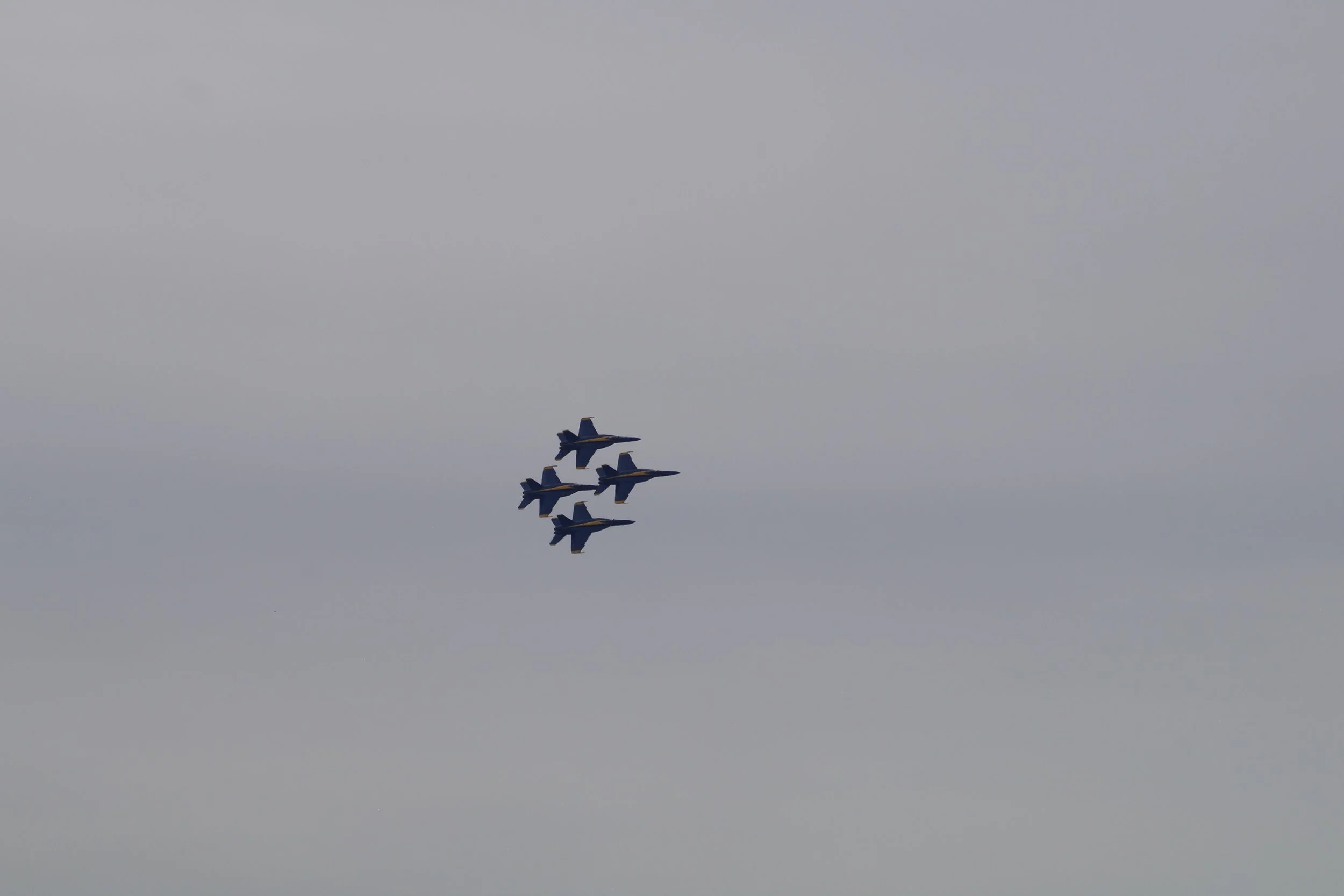Blue Angels F/A 18 Super Hornet