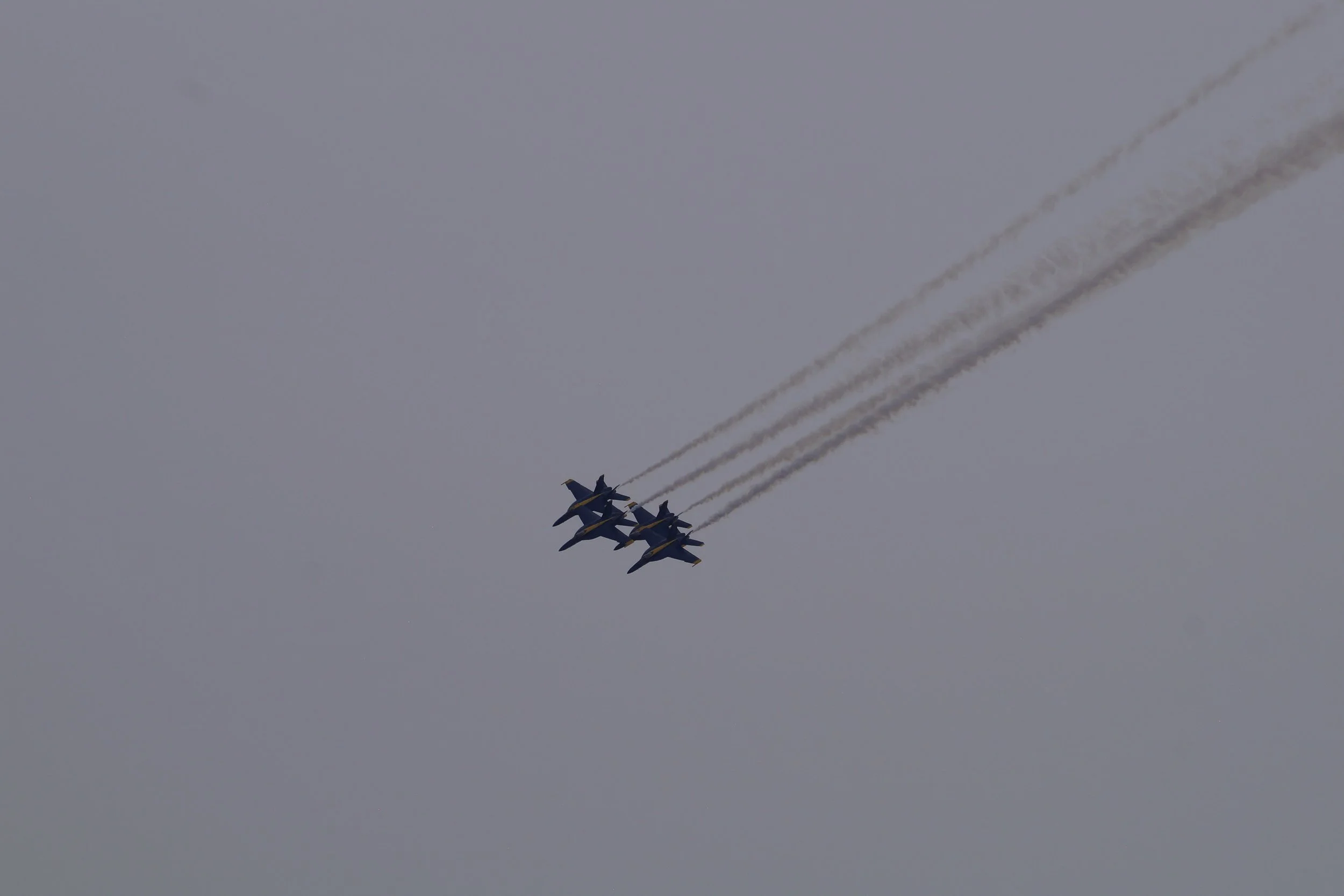 Blue Angels F/A 18 Super Hornet