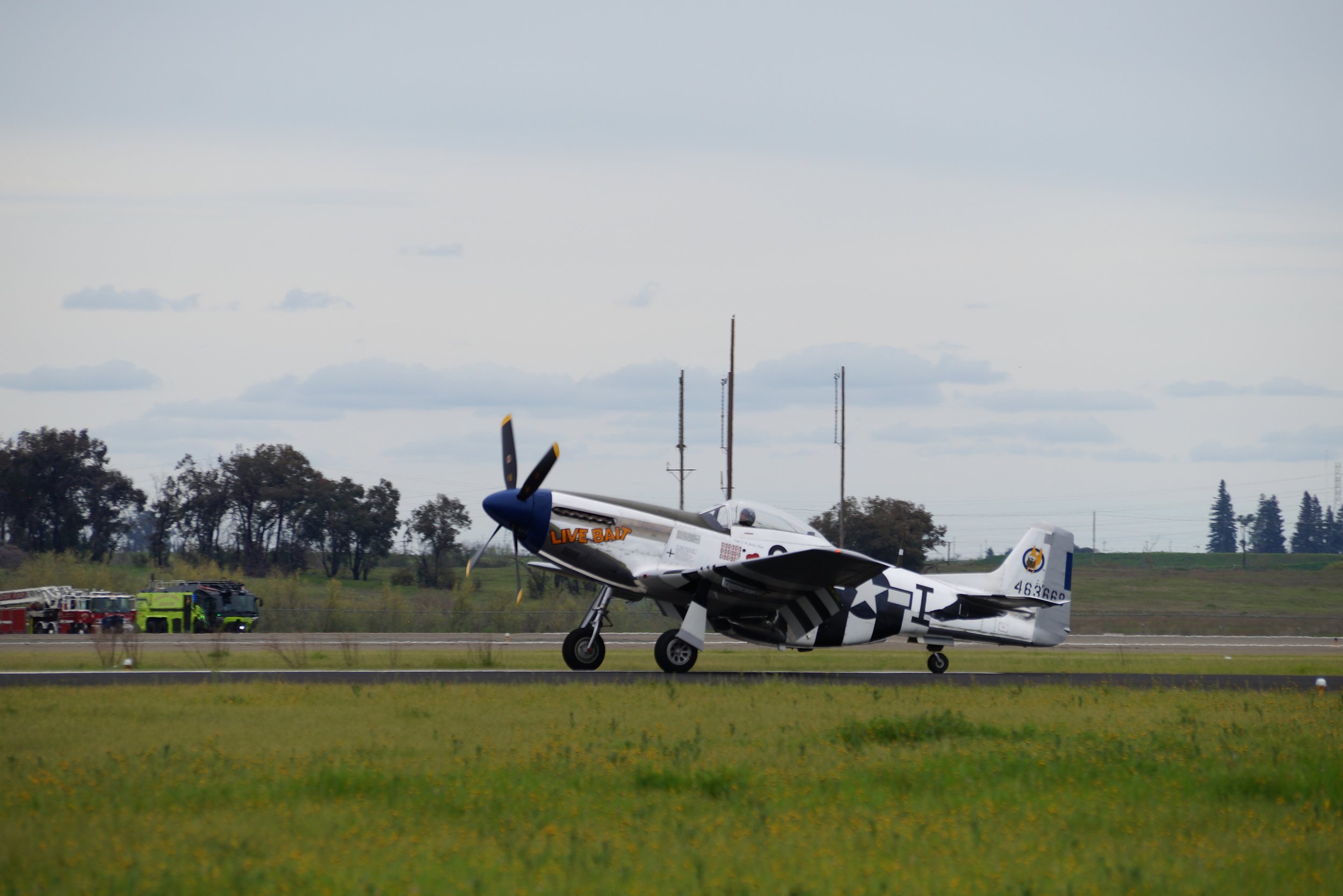 P-51 Mustang