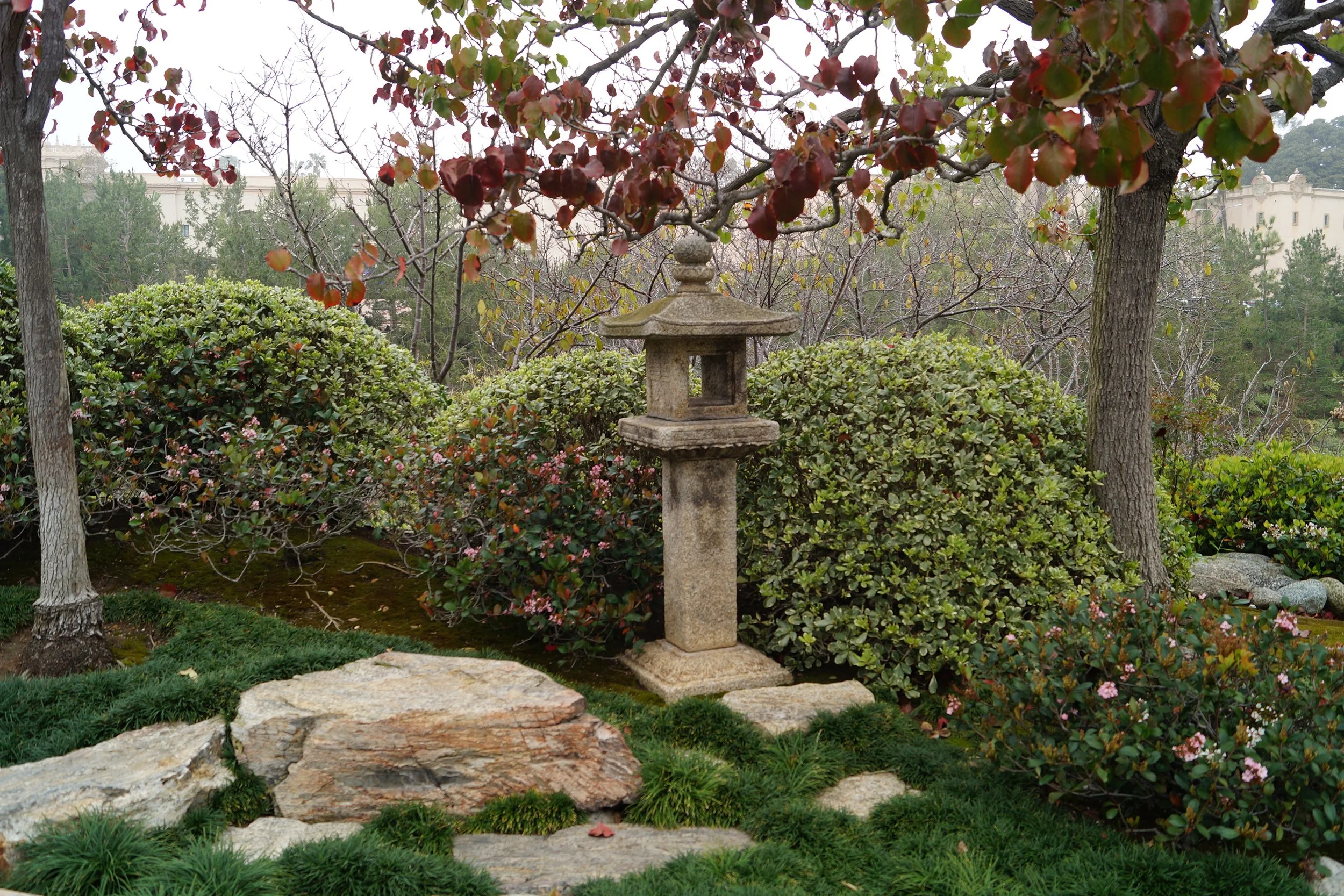 Balboa Park: Japanese Friendship Garden 